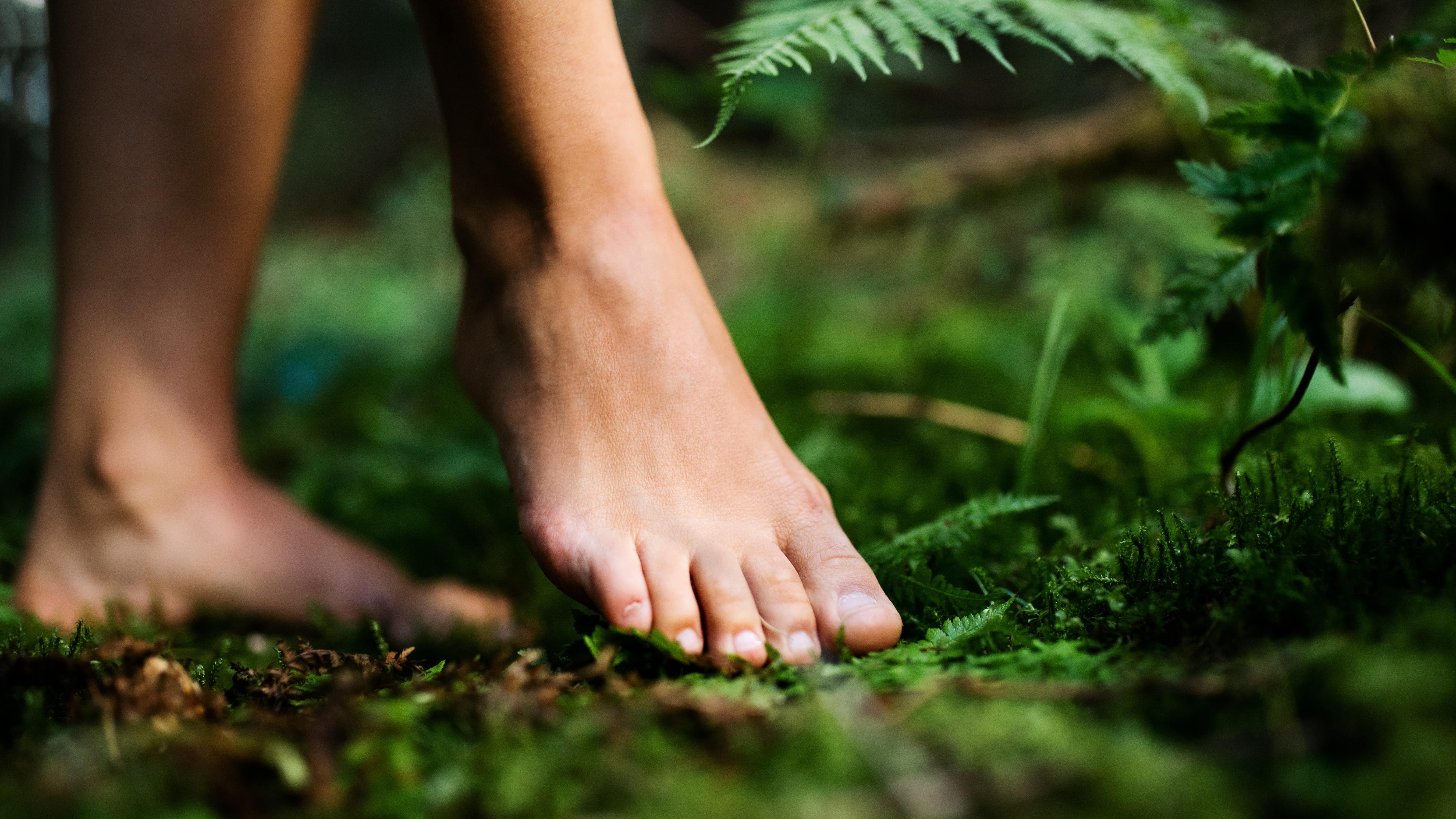 Pieds nus d’une famille sur un sentier