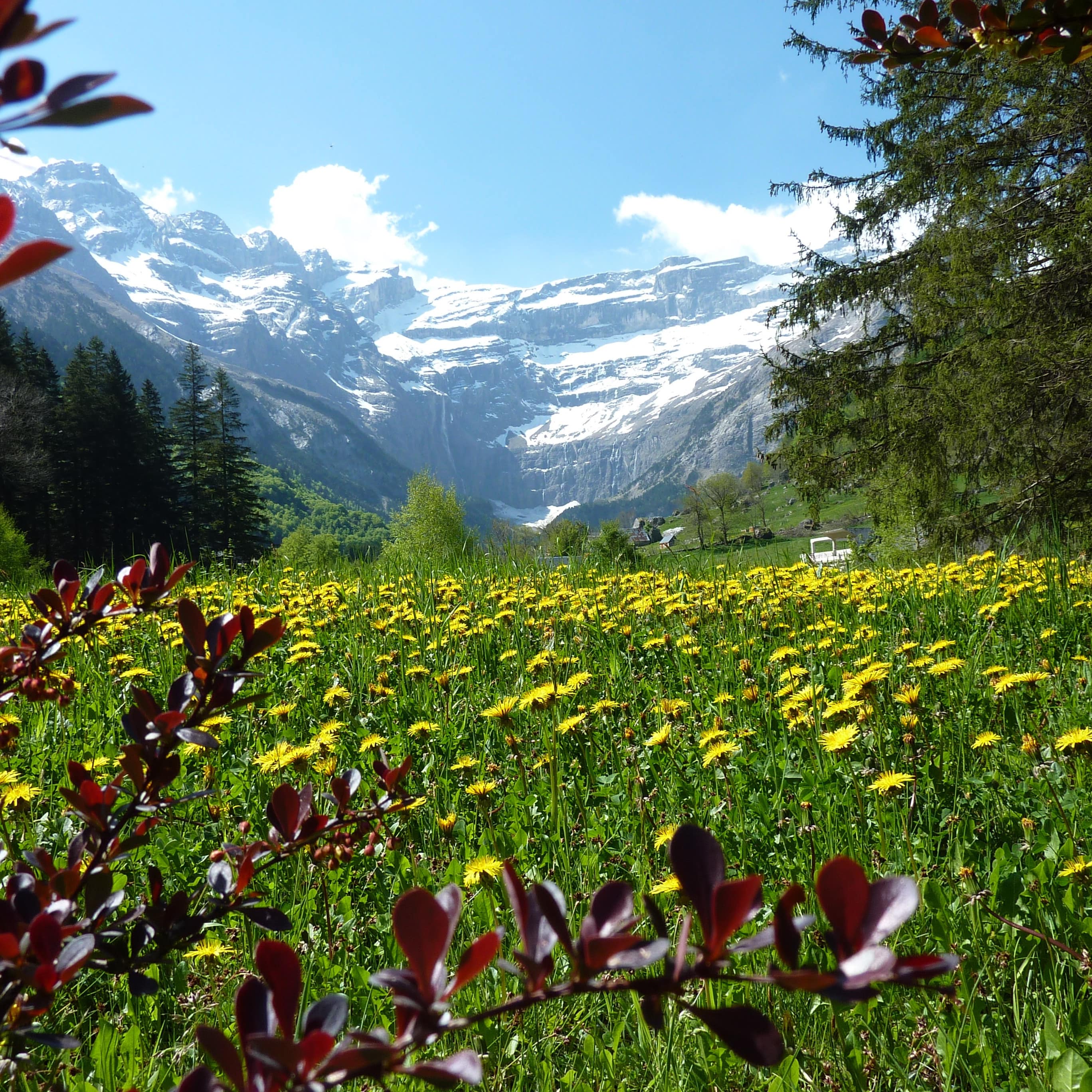 Super décor au pied de montagnes enneigées