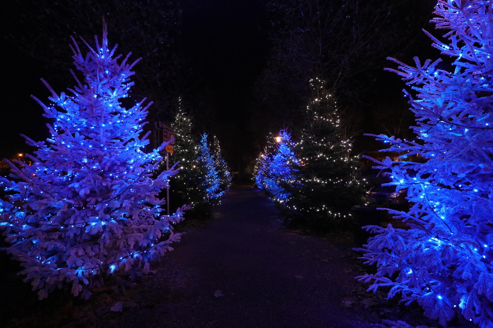 Noël en Alsace : les marchés de Noël