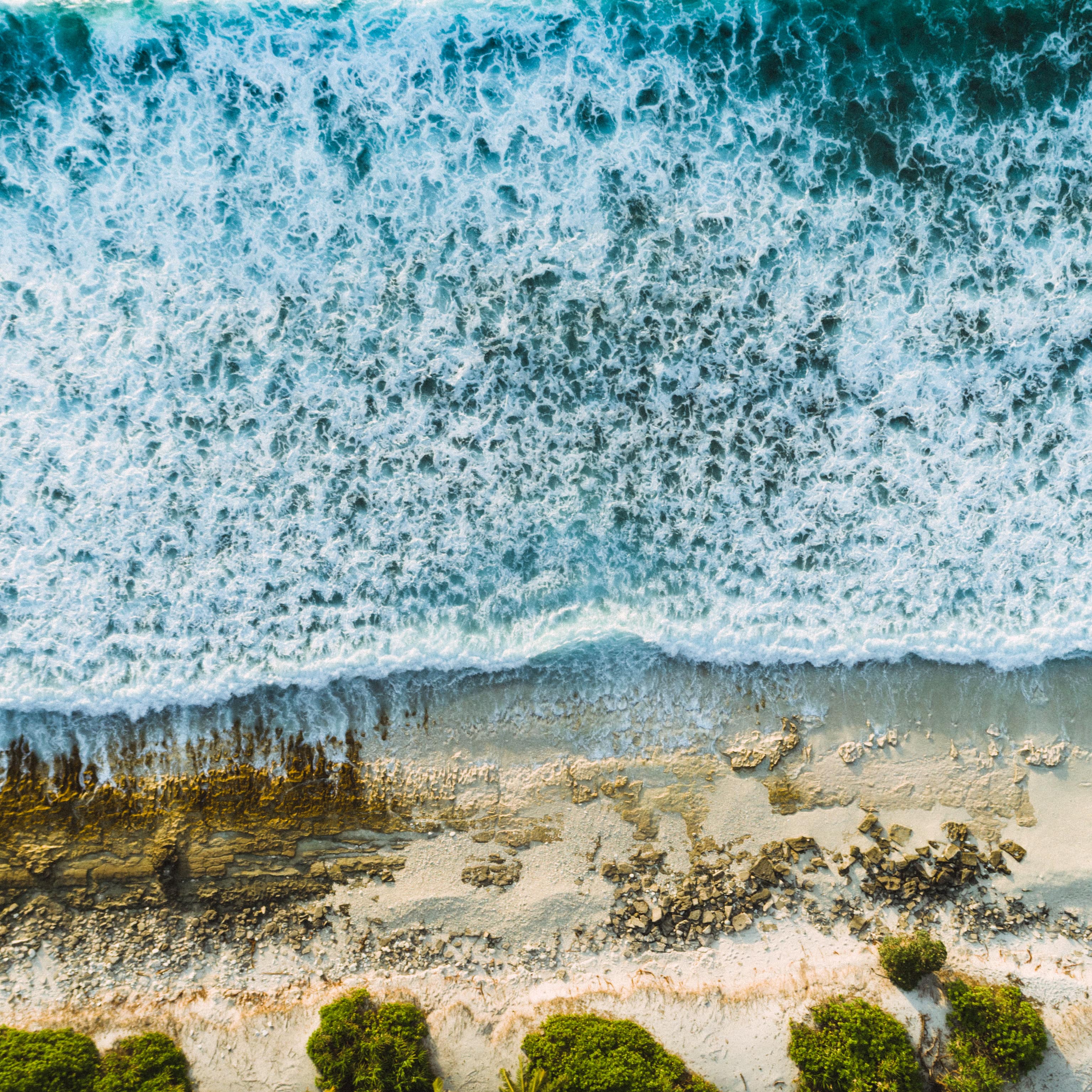 Une plage sauvage