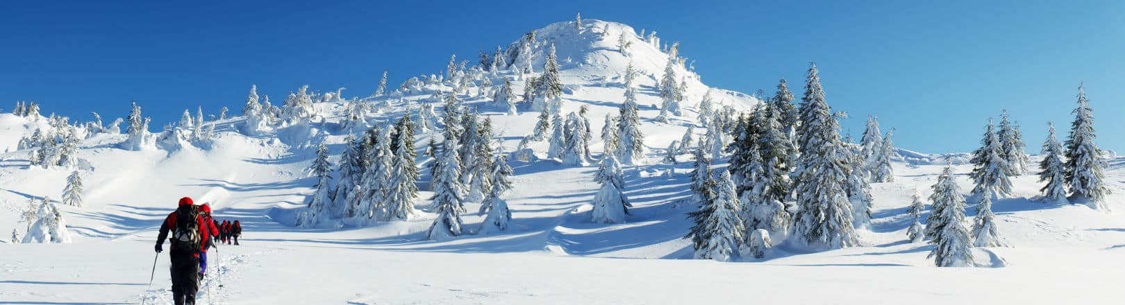 Vosges : partir à la neige sans skier, c’est possible !