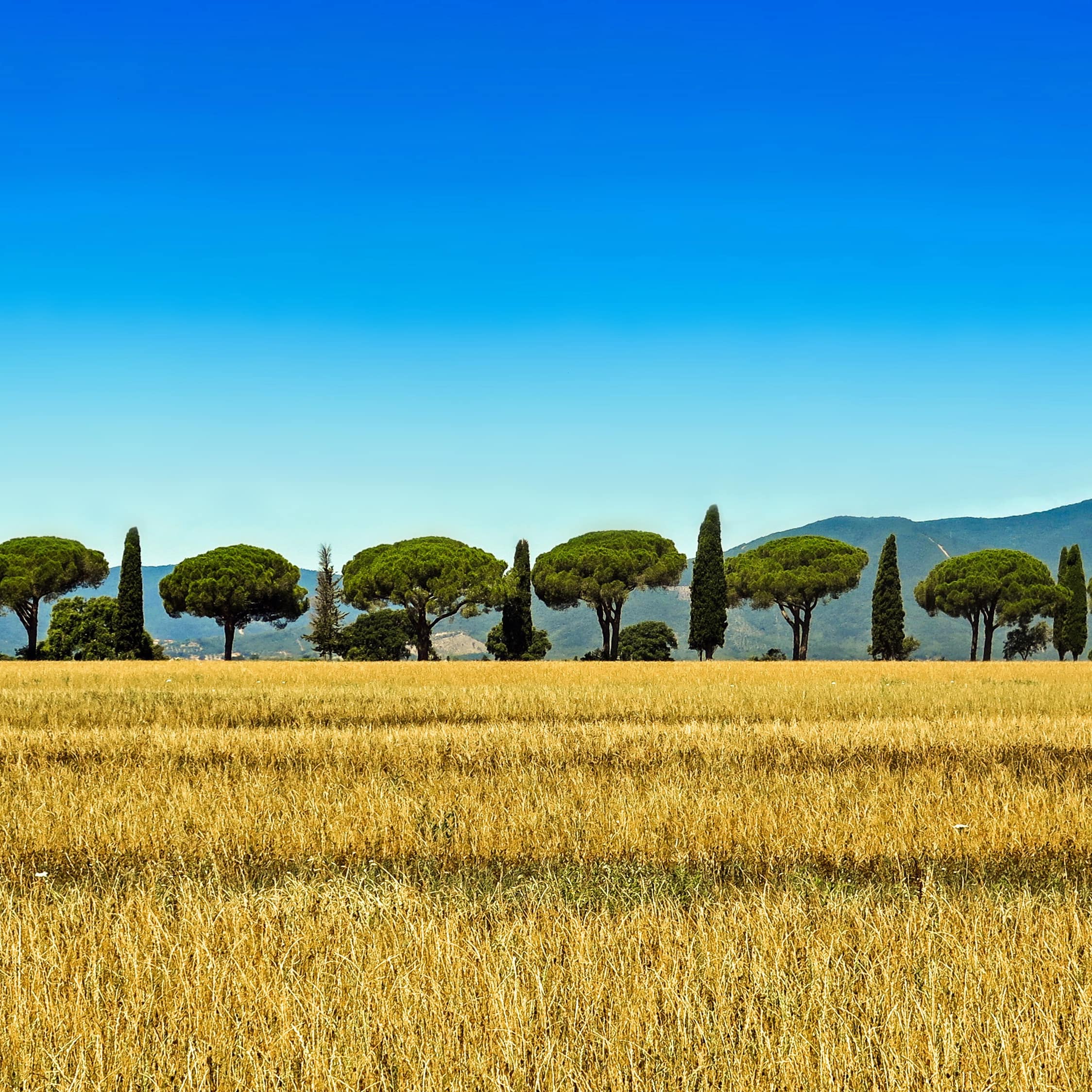 Paysage rural en Toscane