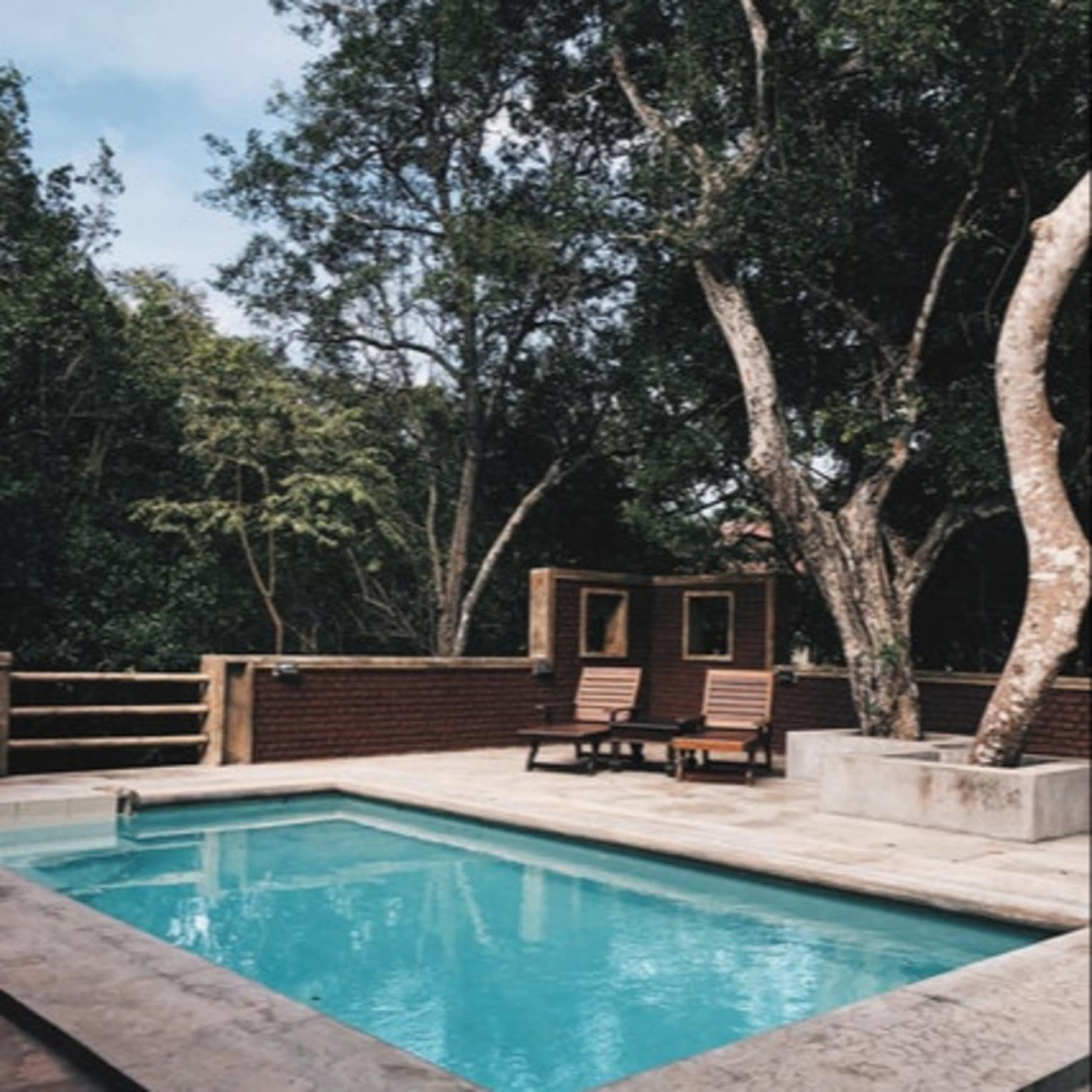Villa, piscine, chaises longues, arbres, villa Europe