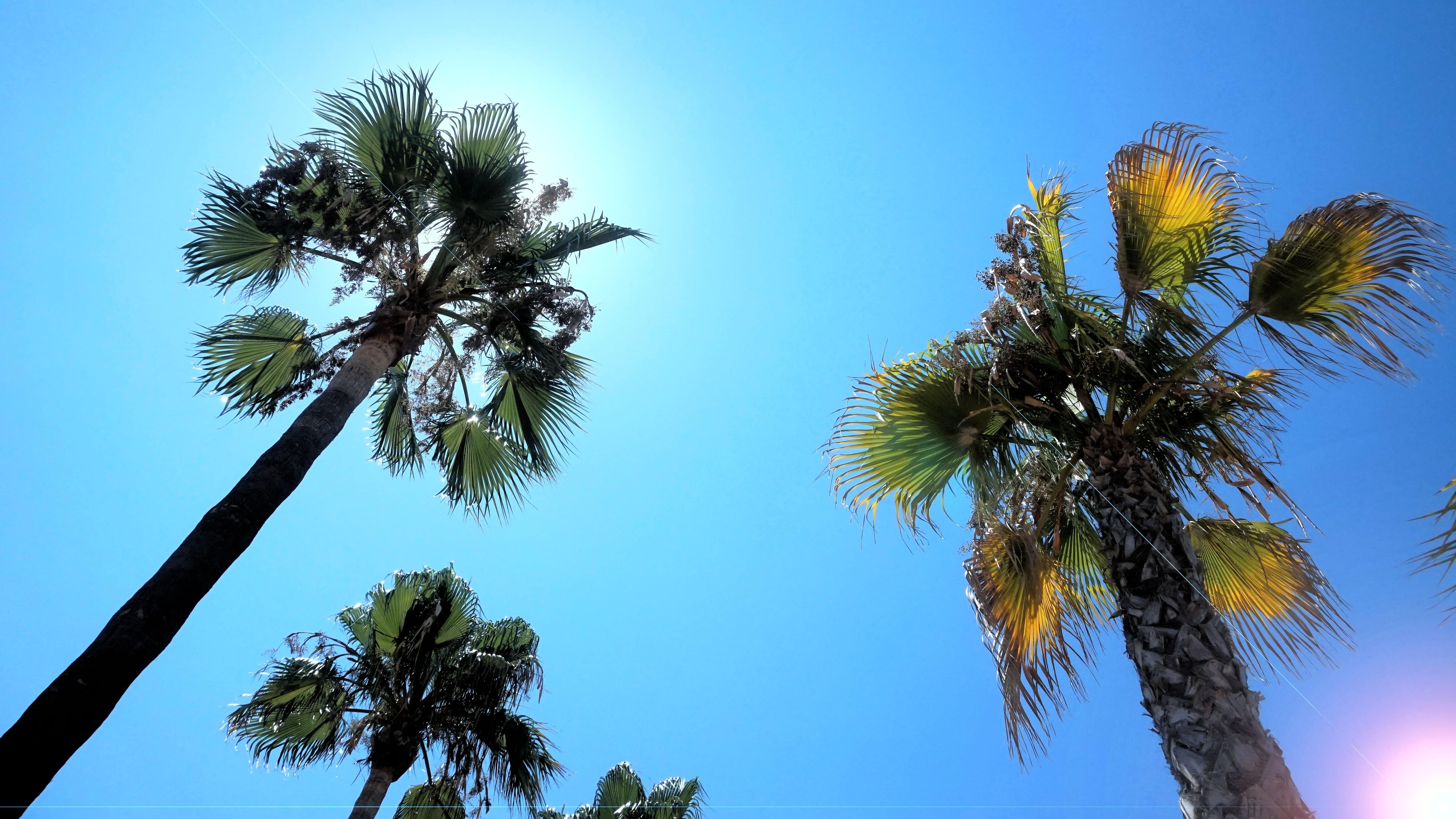 Où partir en décembre au soleil : les plages de vos rêves