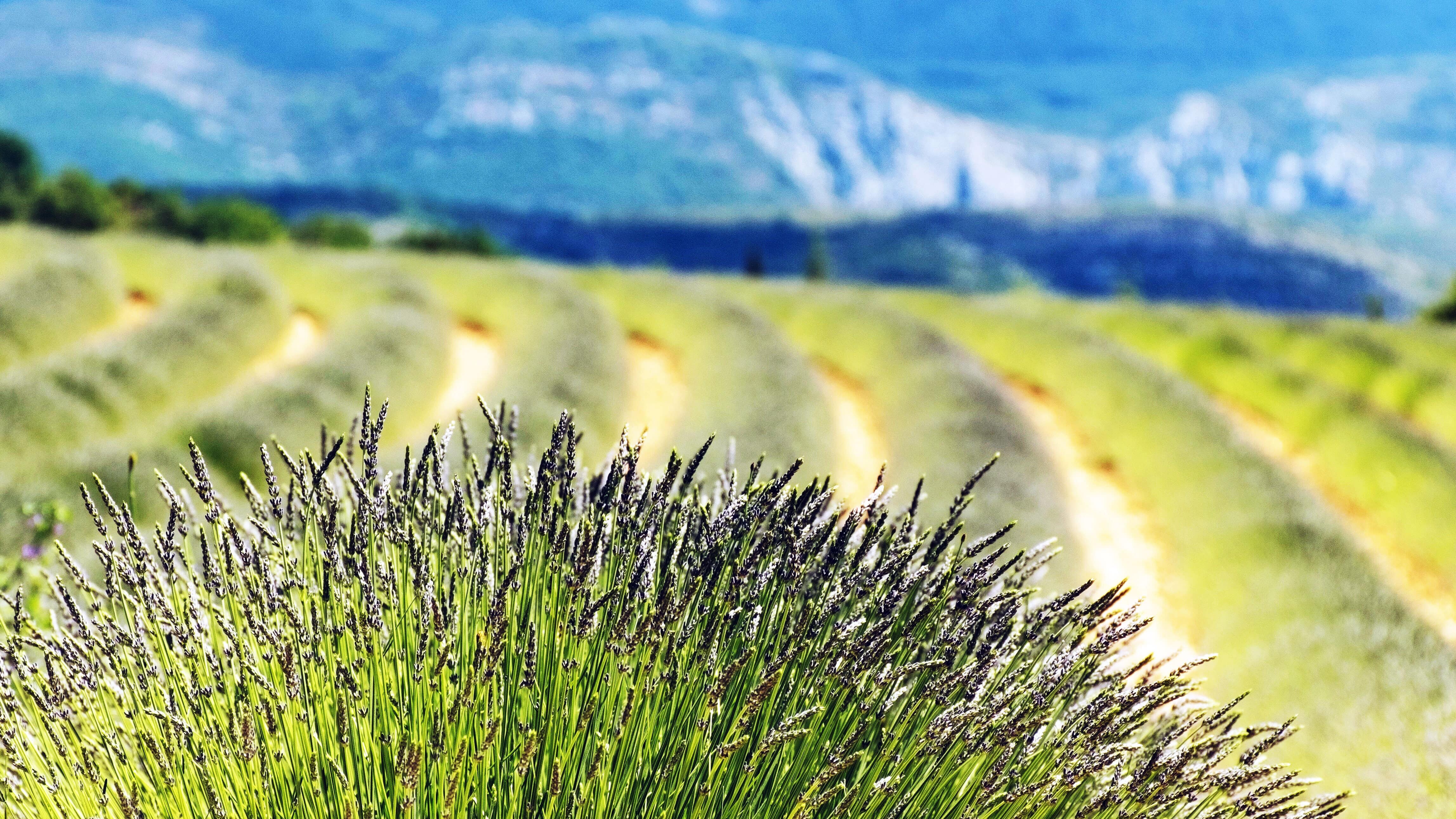 Partir pas cher en vacances en Provence