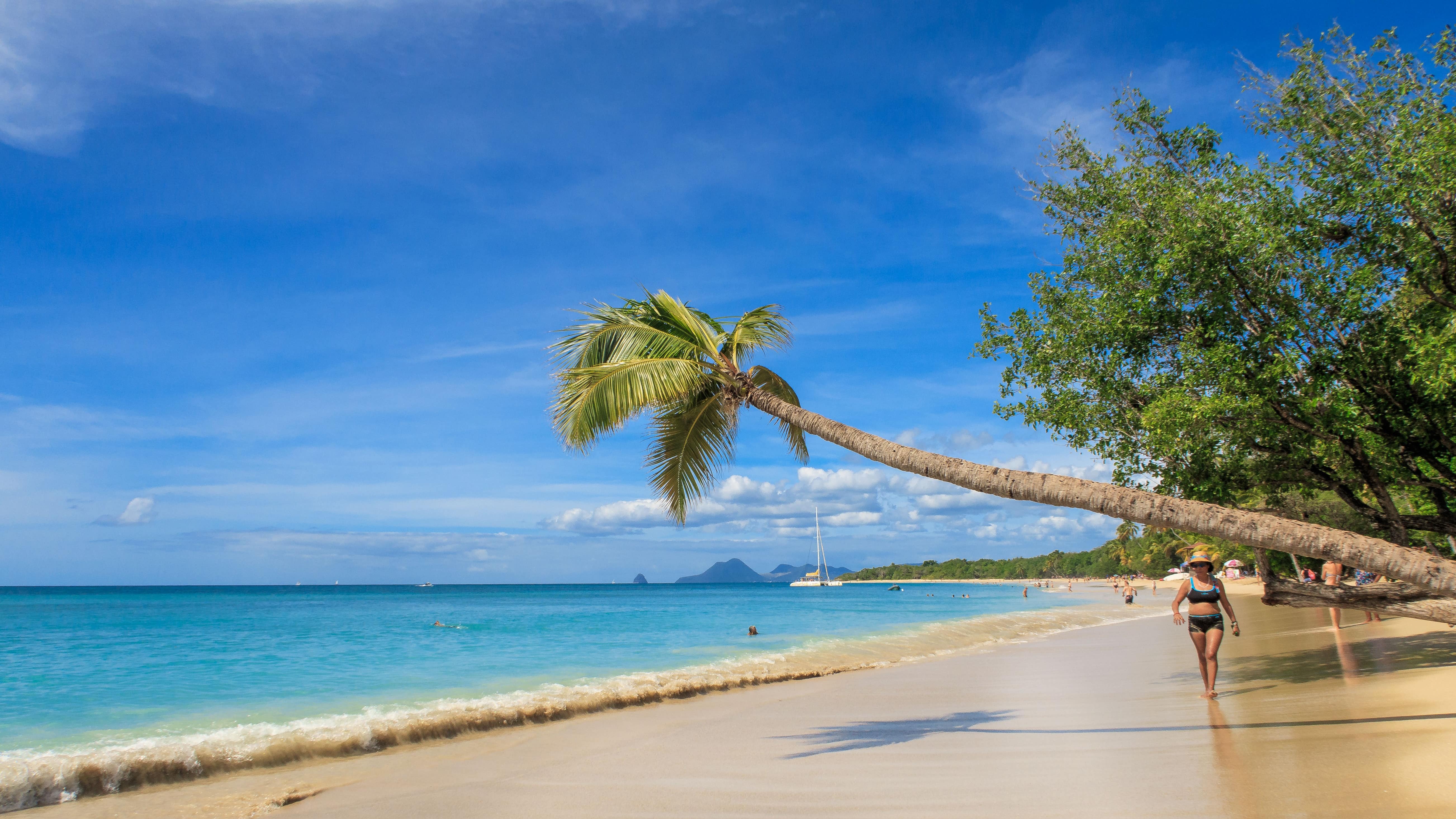 Location saisonnière en Martinique, au cœur des Caraïbes