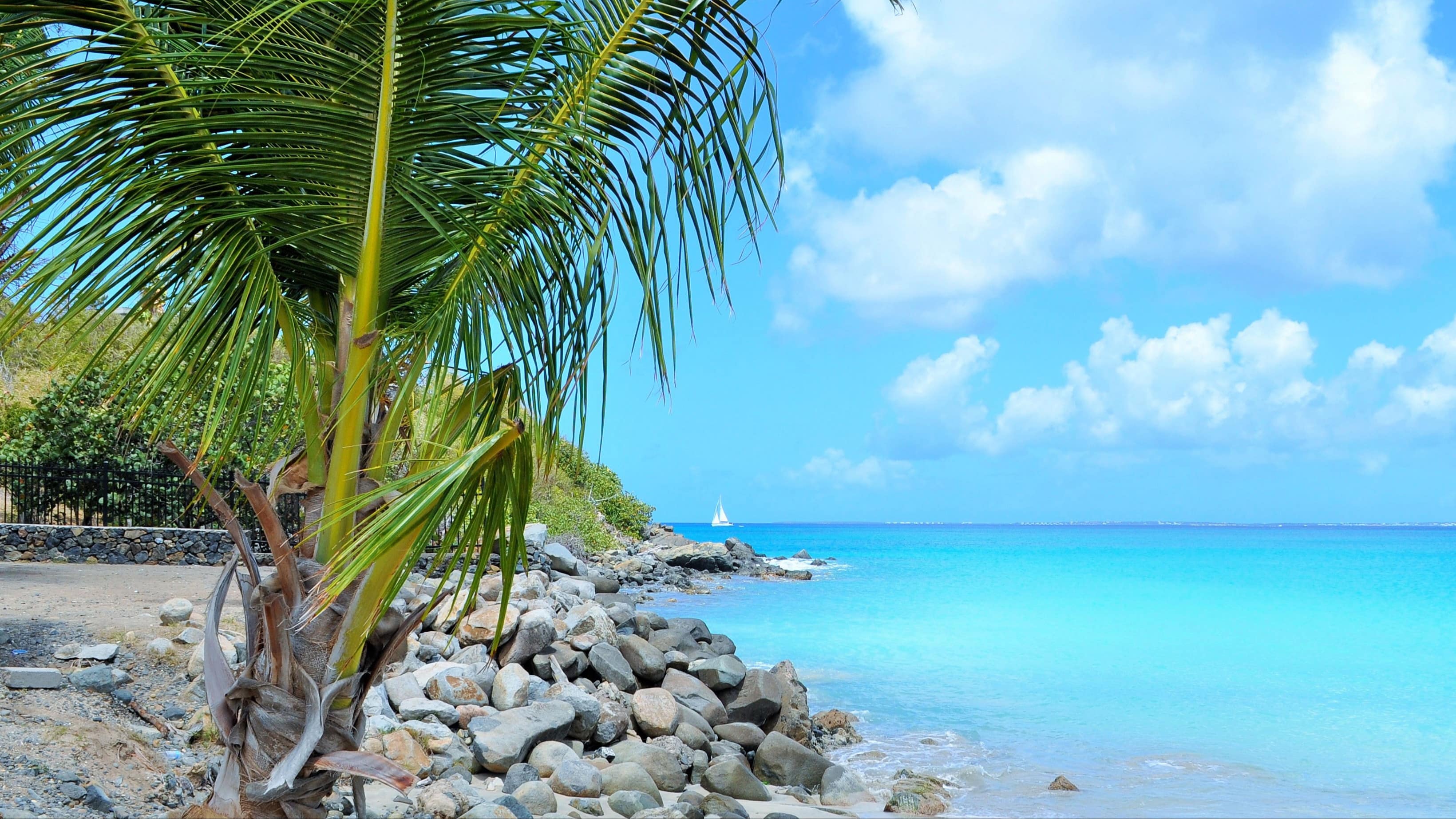 Location de vacances en Martinique