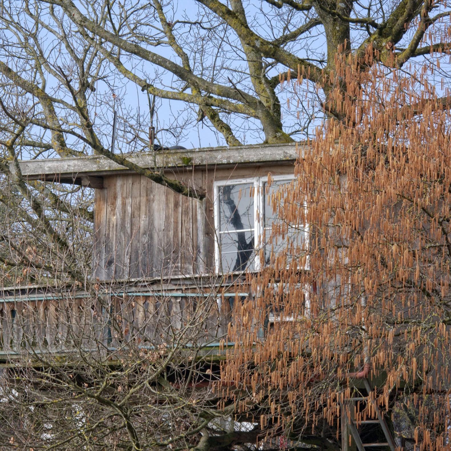 Profitez de la vue depuis votre cabane dans les arbres