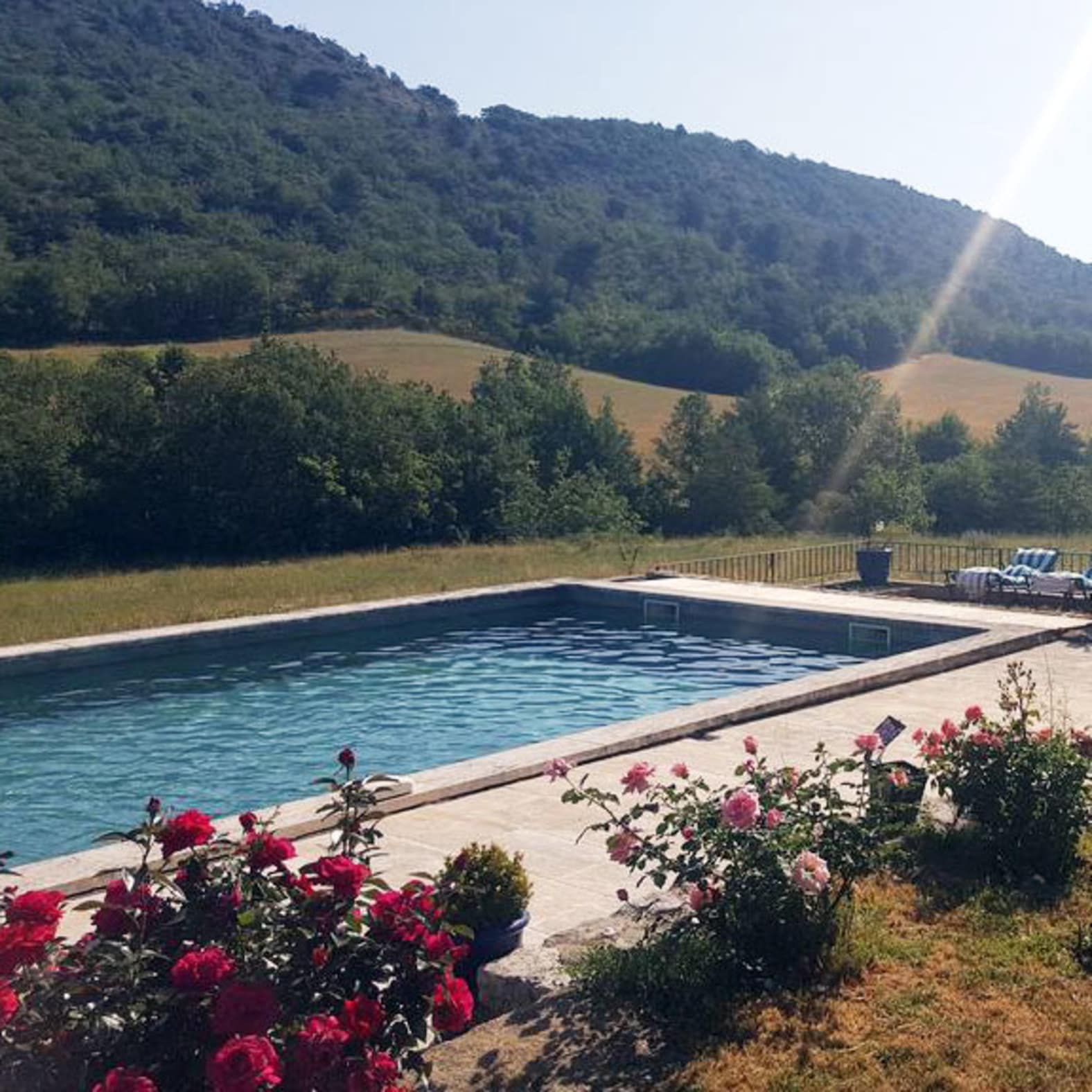 Locations de vacances en Provence : une location de vacances avec piscine au beau milieu de la nature