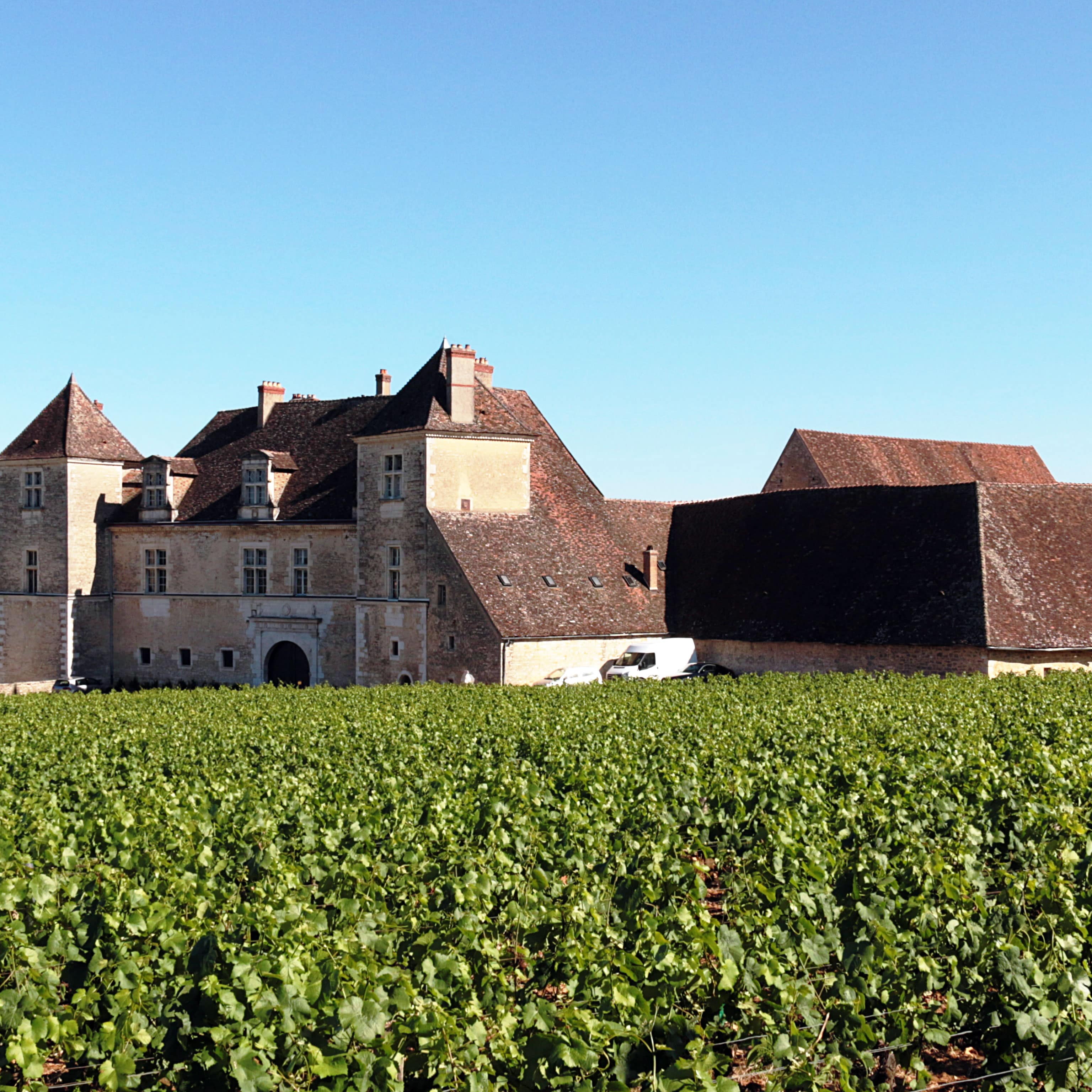 Gîtes à Bordeaux : gîtes chez le vigneron à proximité de Blaye