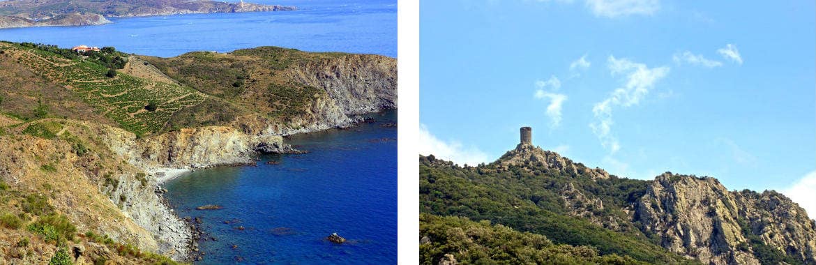 argeles sur mer 1 - Homelidays