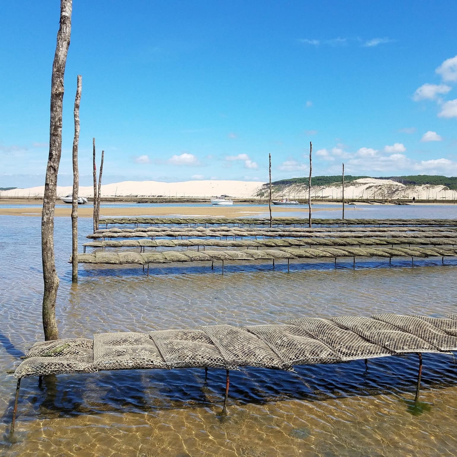 Bassin d’Arcachon, France