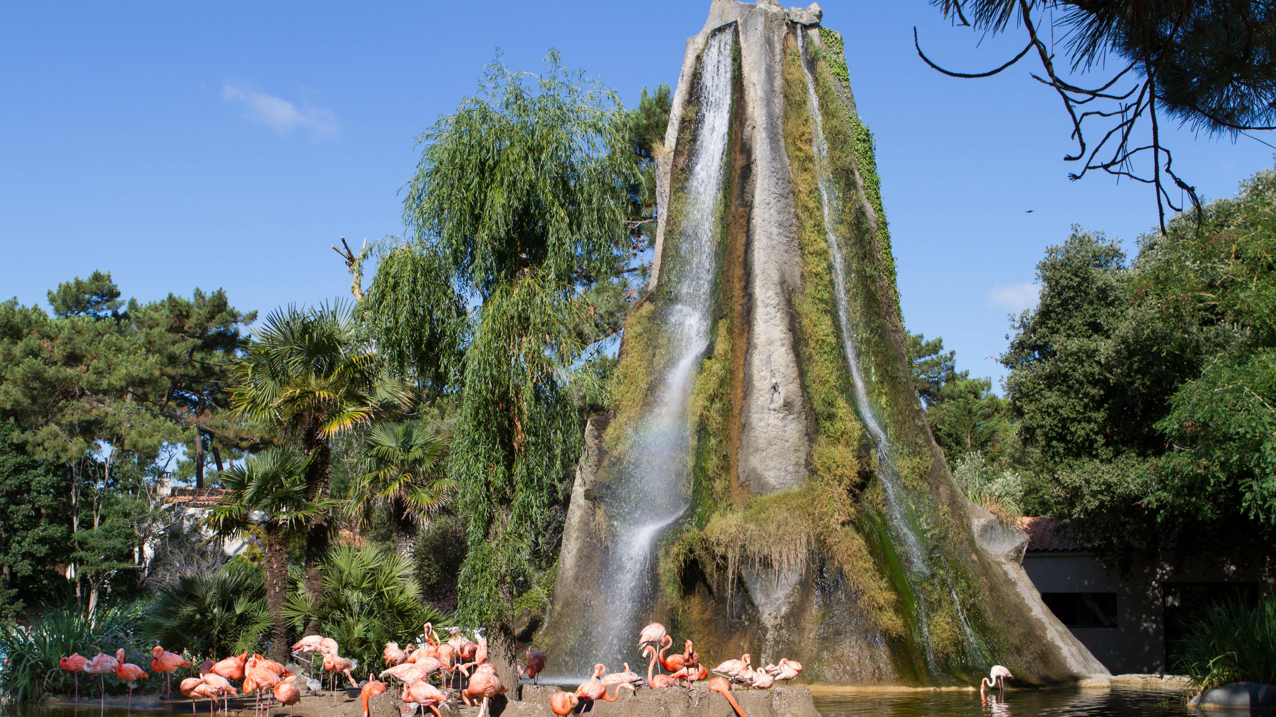 L’île aux flamants roses au zoo de la Palmyre