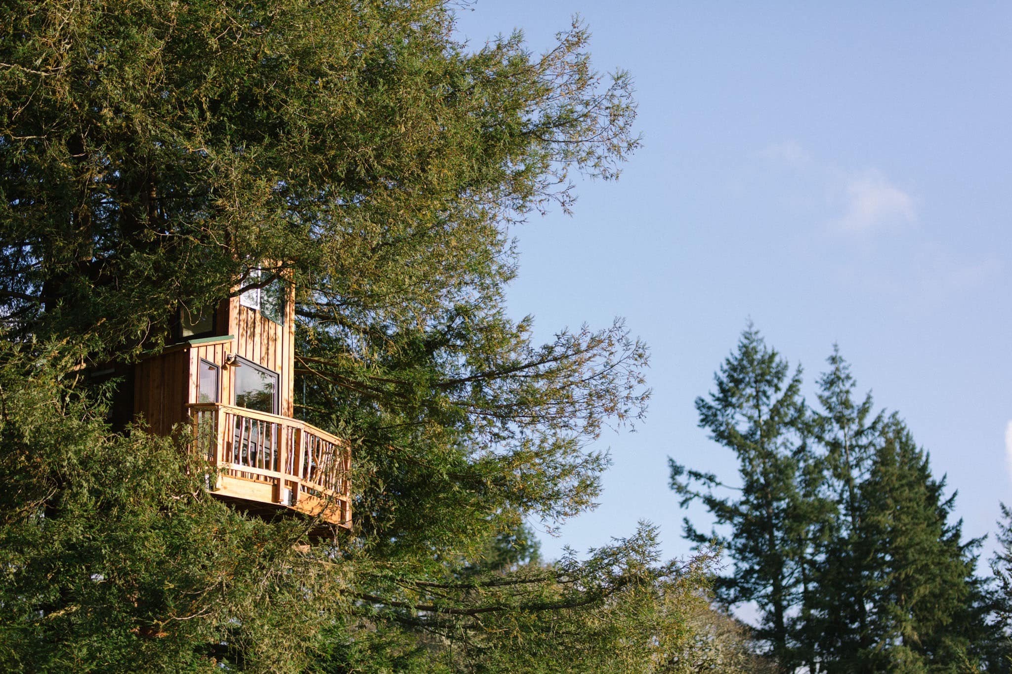 5 destinations en France où dormir dans les arbres