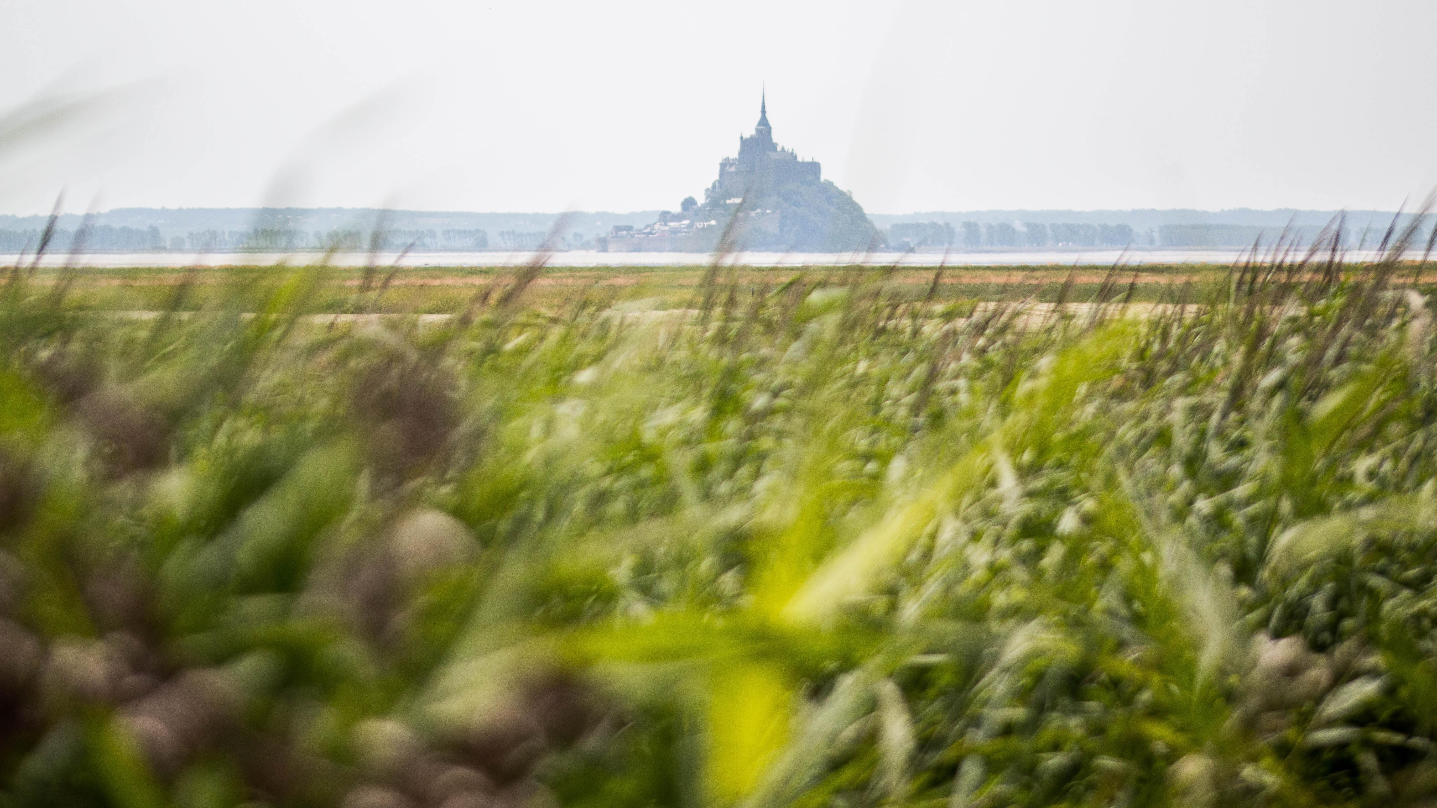 Panorama donnant sur le Mont-Saint-Michel en arrière-plan et sur la verte campagne normande en avant-plan