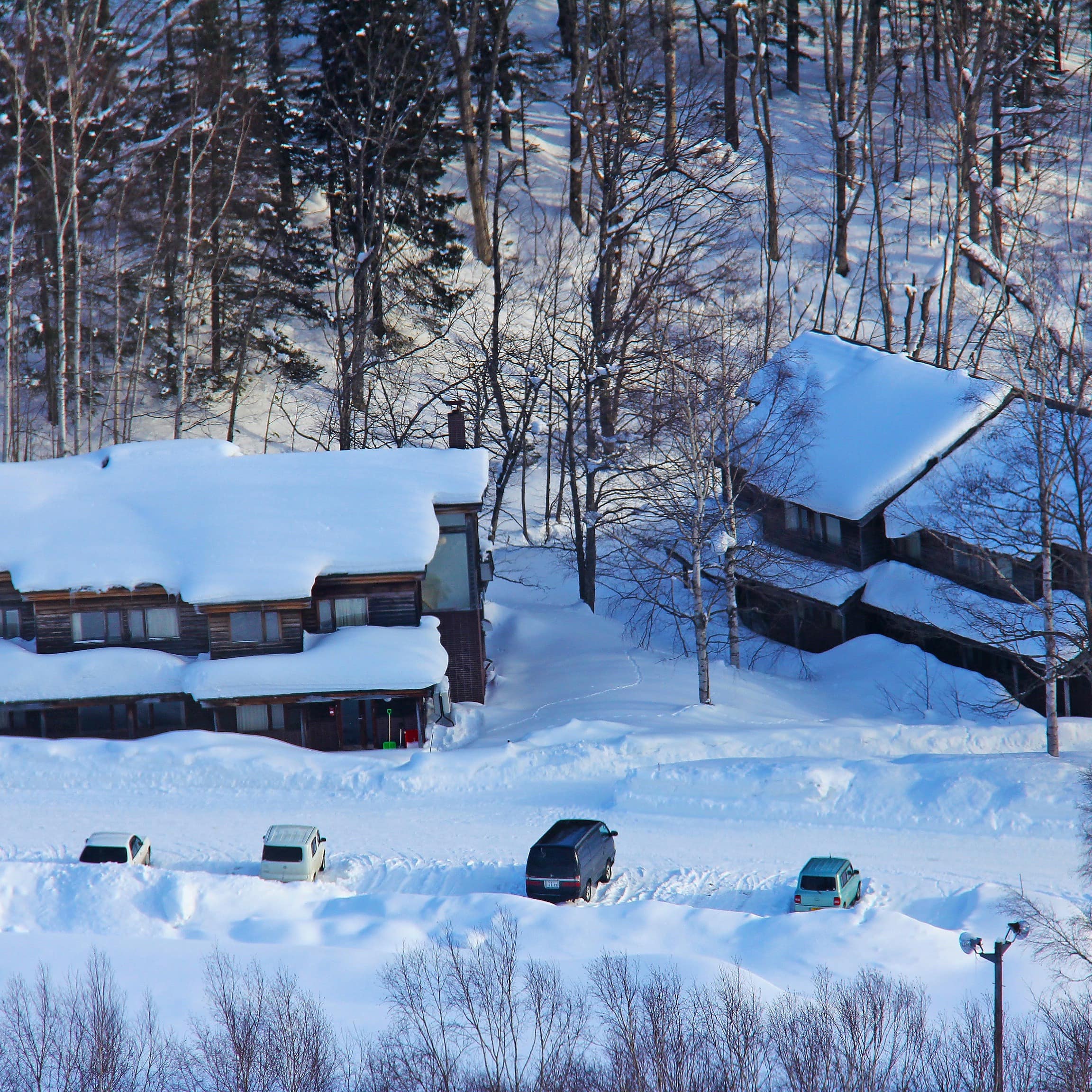 Ski chalets surrounded by snow, seen from above