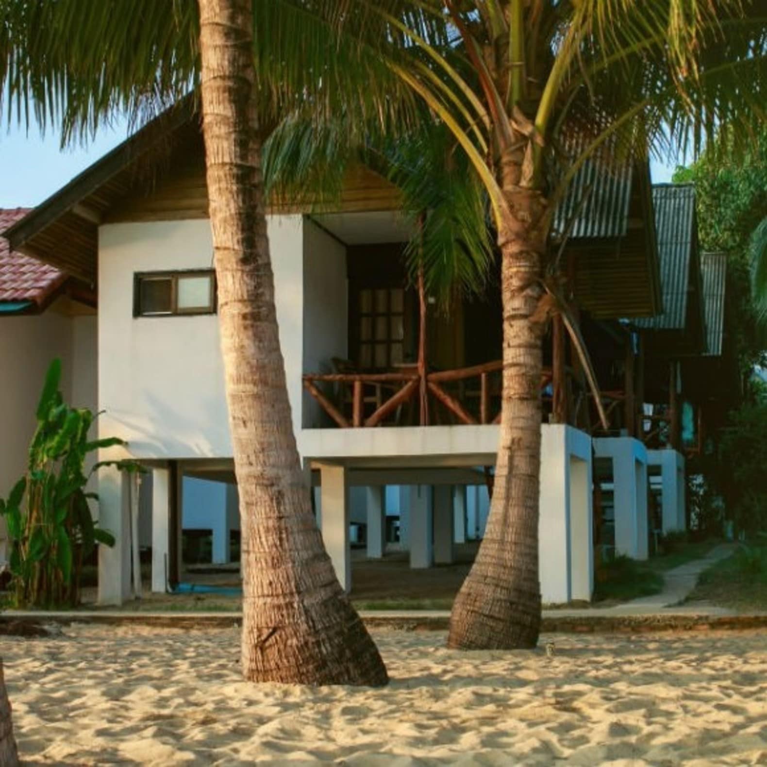 Villa de bord de mer, plage, palmiers, terrasse, villa Caraïbes