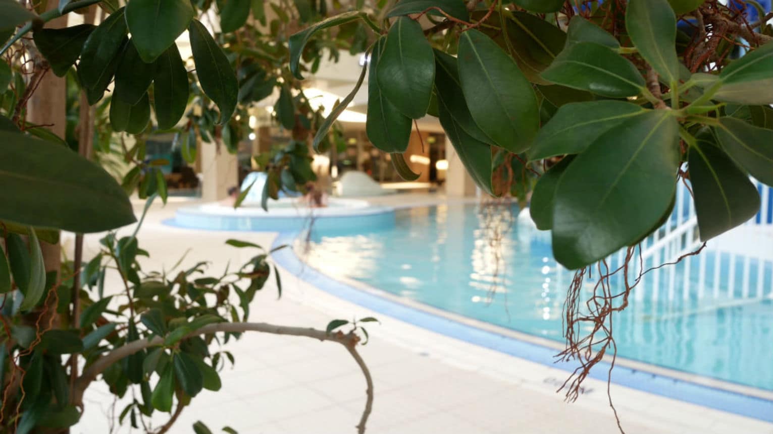 intérieure avec végétation, location maison avec piscine intérieure