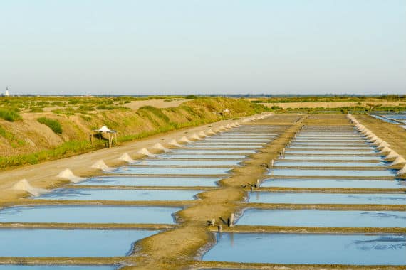 visiter vendee 1 - Homelidays