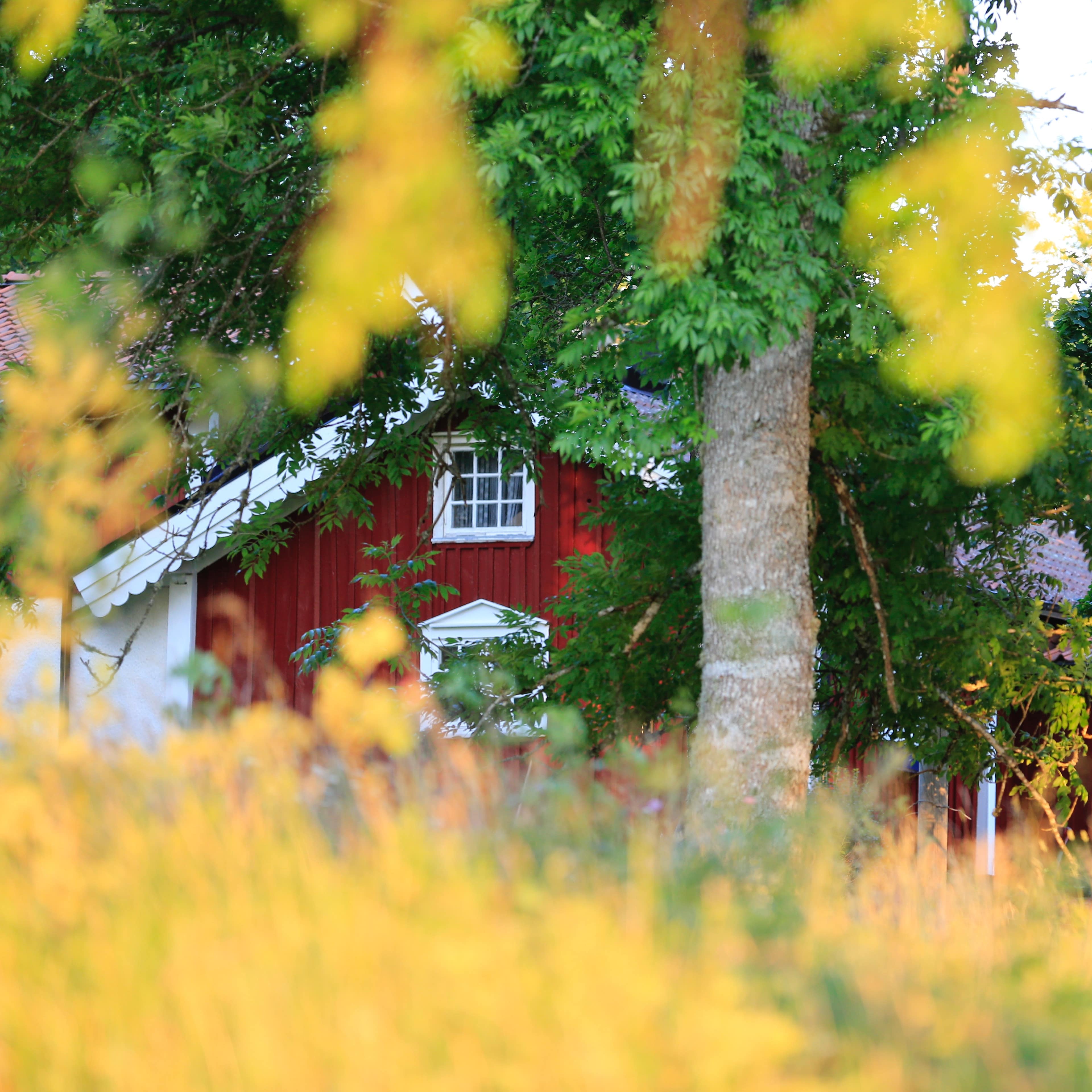 Un petit chalet rouge en bois isolé en pleine nature