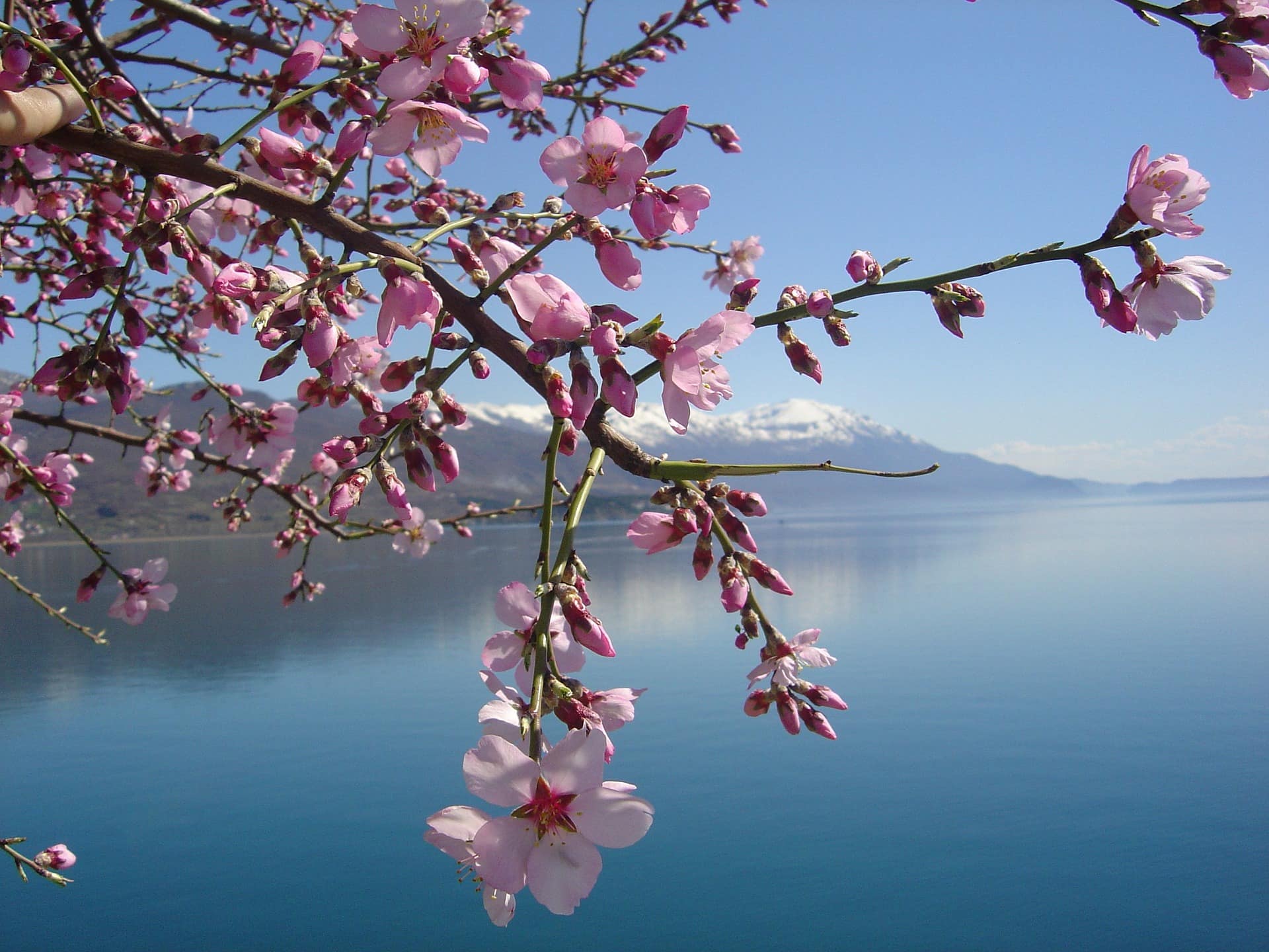 Lac du bourget, image par alltimunii de Pixabay