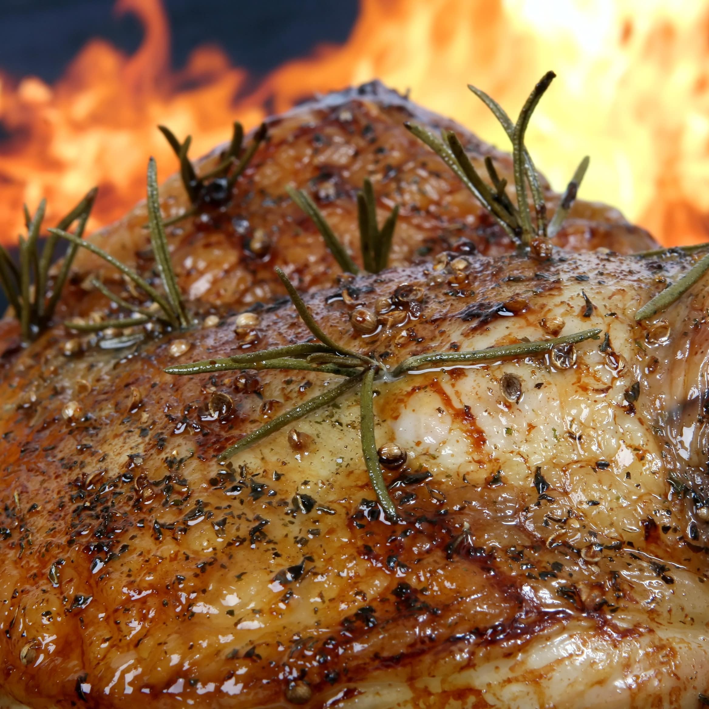 Vivez une aventure gastronomique dans un gîte dédié au bien-manger !