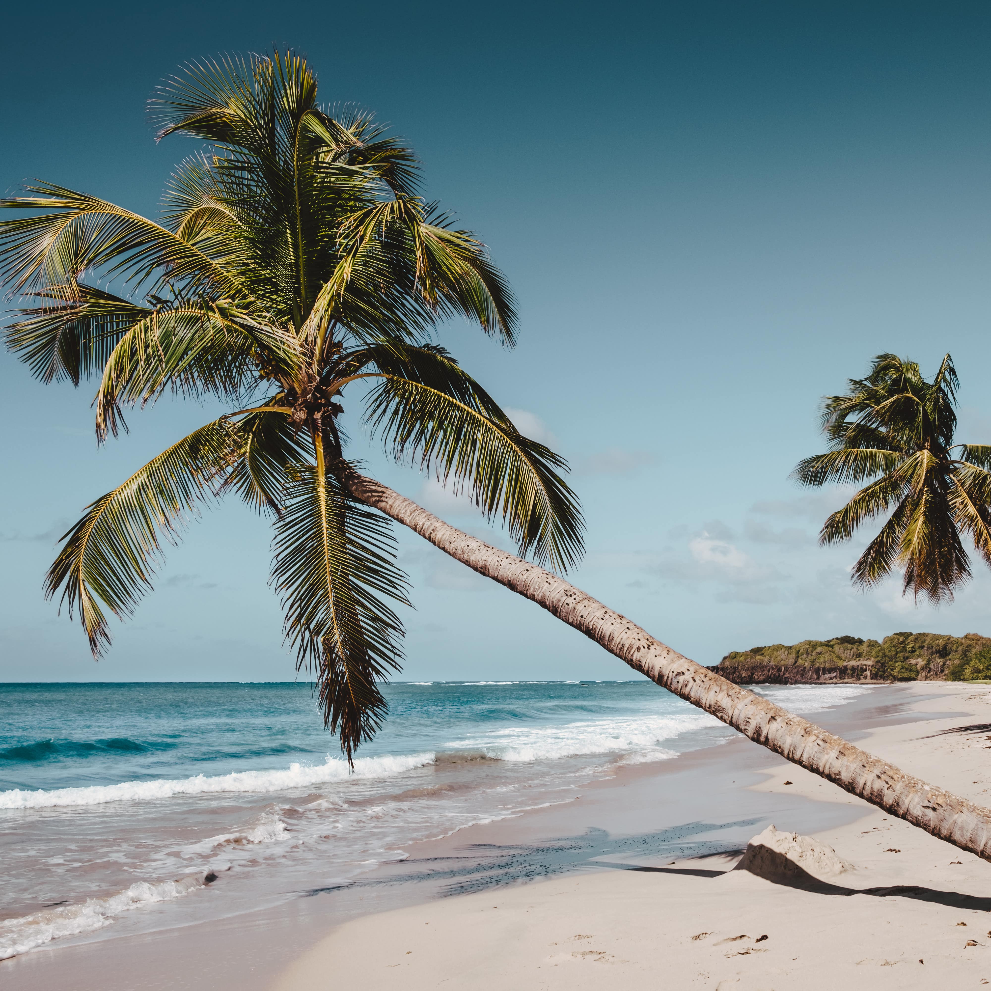 Une plage de Martinique