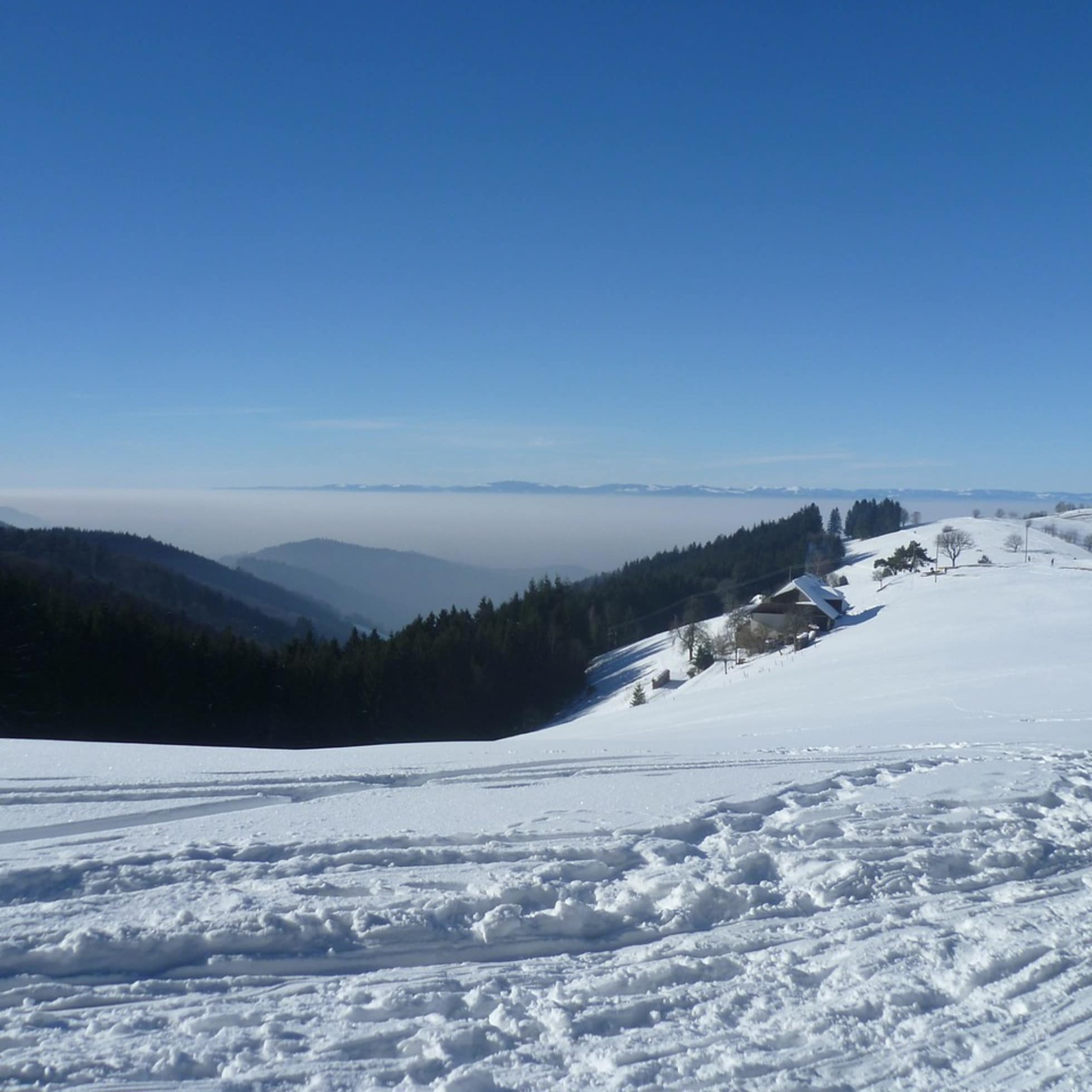 Au sommet de la montagne enneigée, les pistes de ski des domaines du massif des Vosges