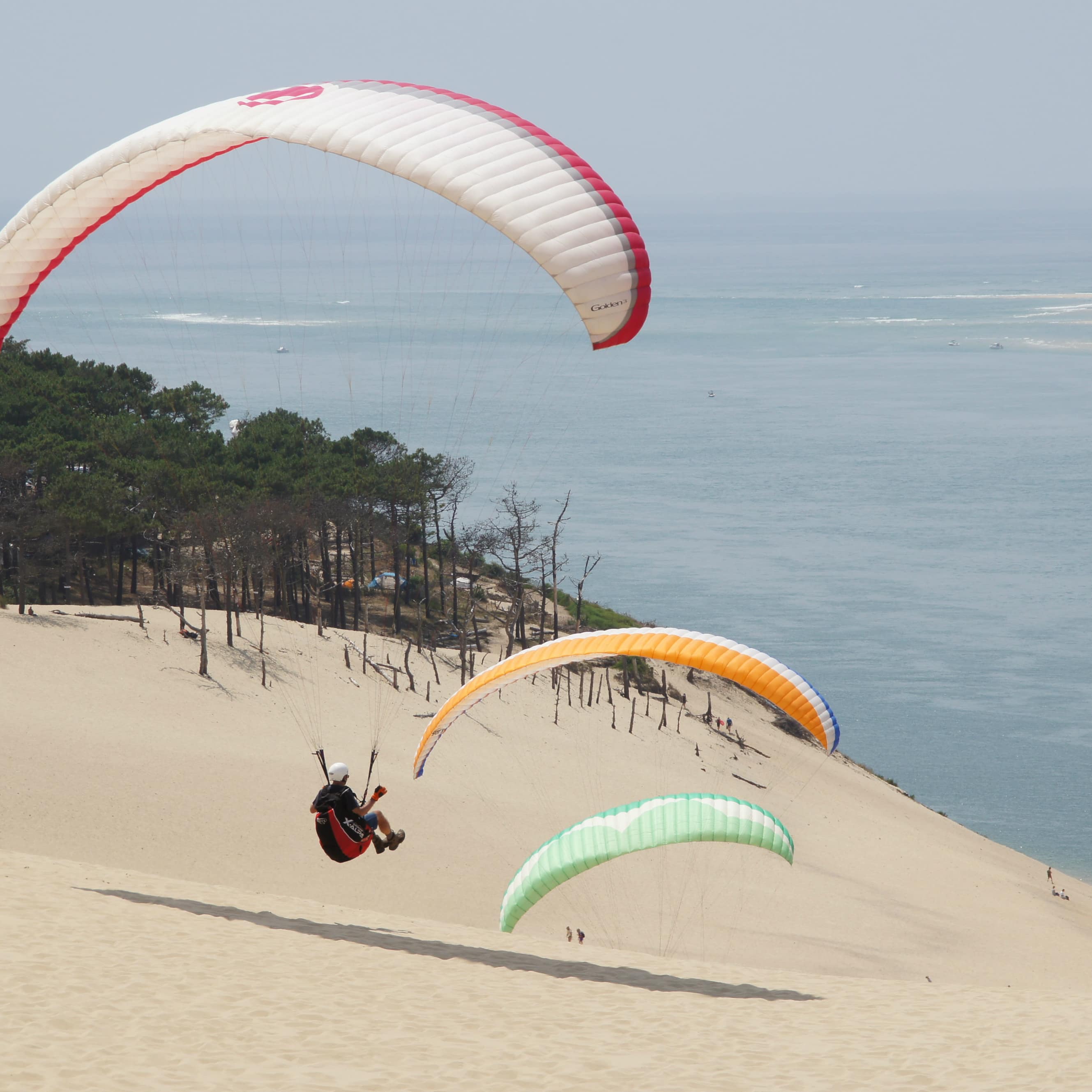 Parapente à Arcachon
