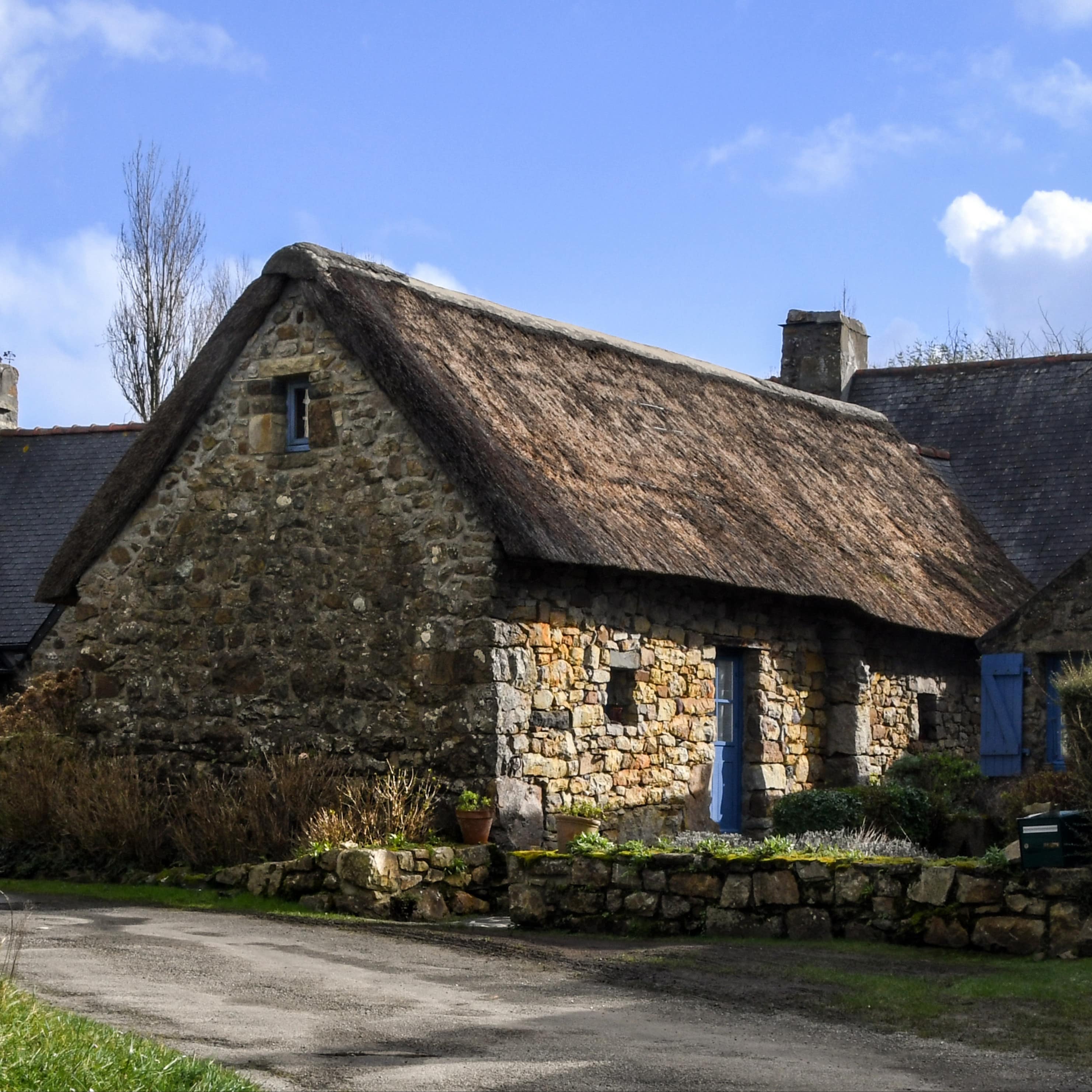Un gîte en Bretagne pour découvrir la lande et ses mystères