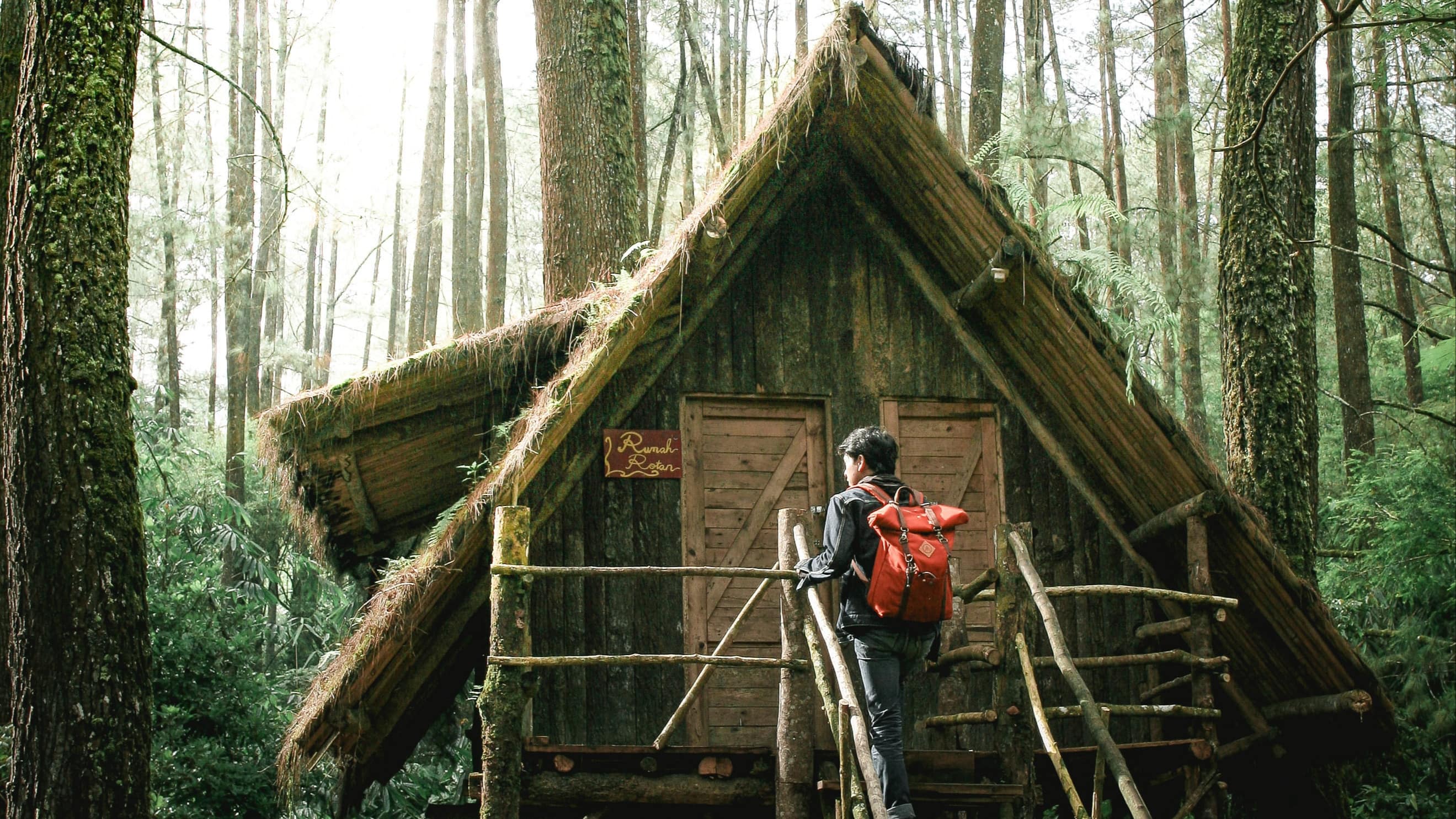 Un séjour dans une cabane avec jacuzzi privatif dans les arbres !
