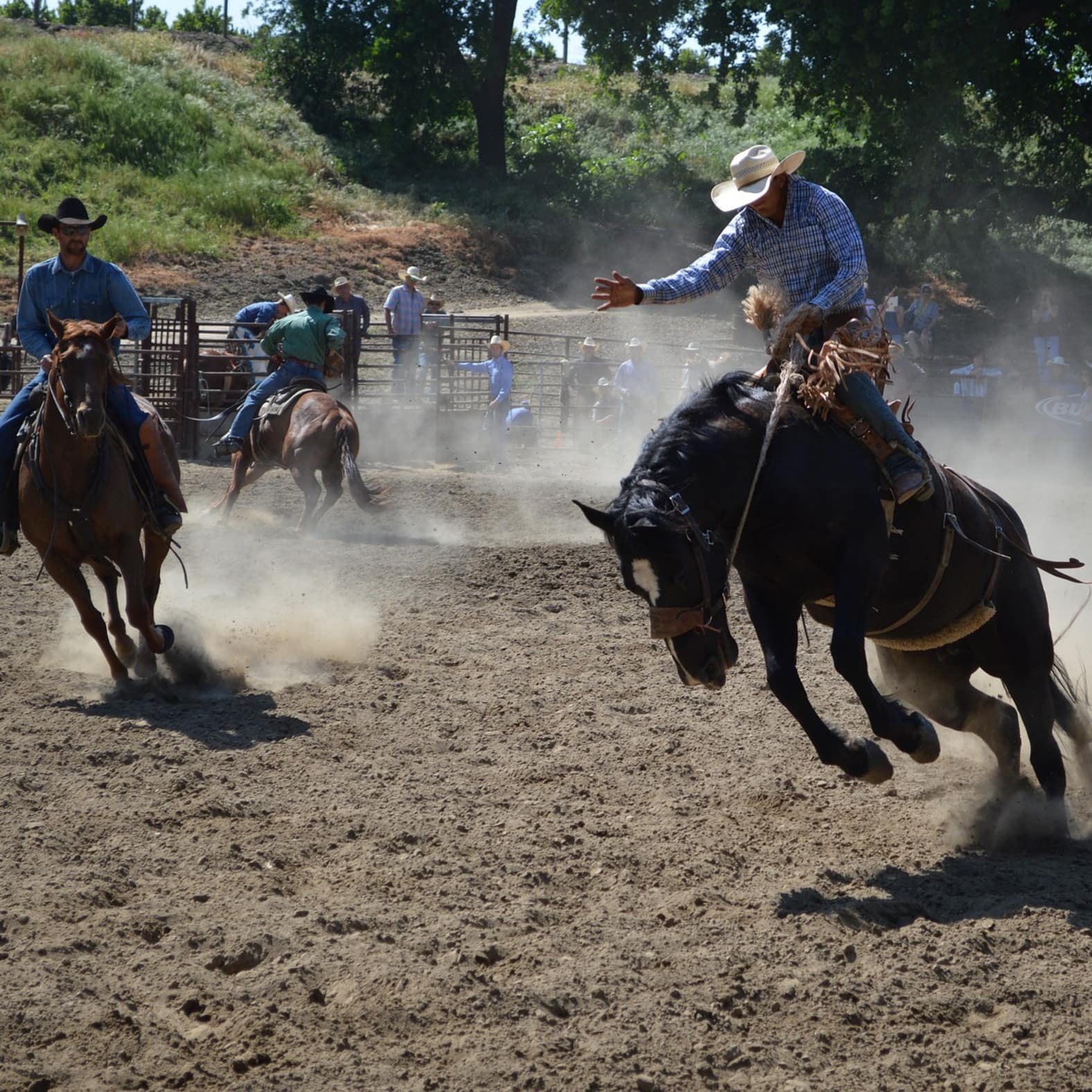 Vacances de cowboys dans un ranch américain