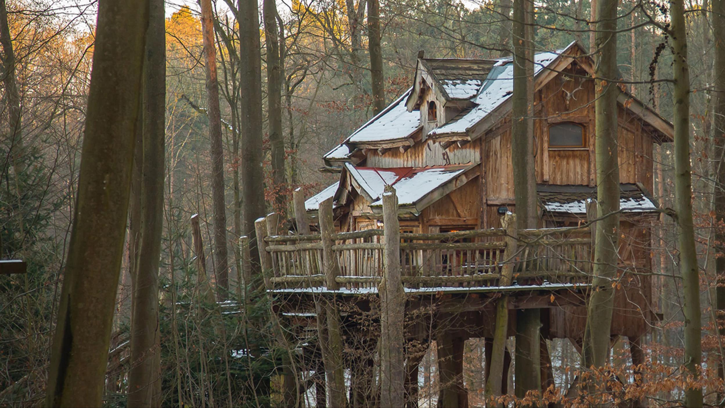 Prenez de la hauteur avec votre cabane dans les arbres en Île-de-France