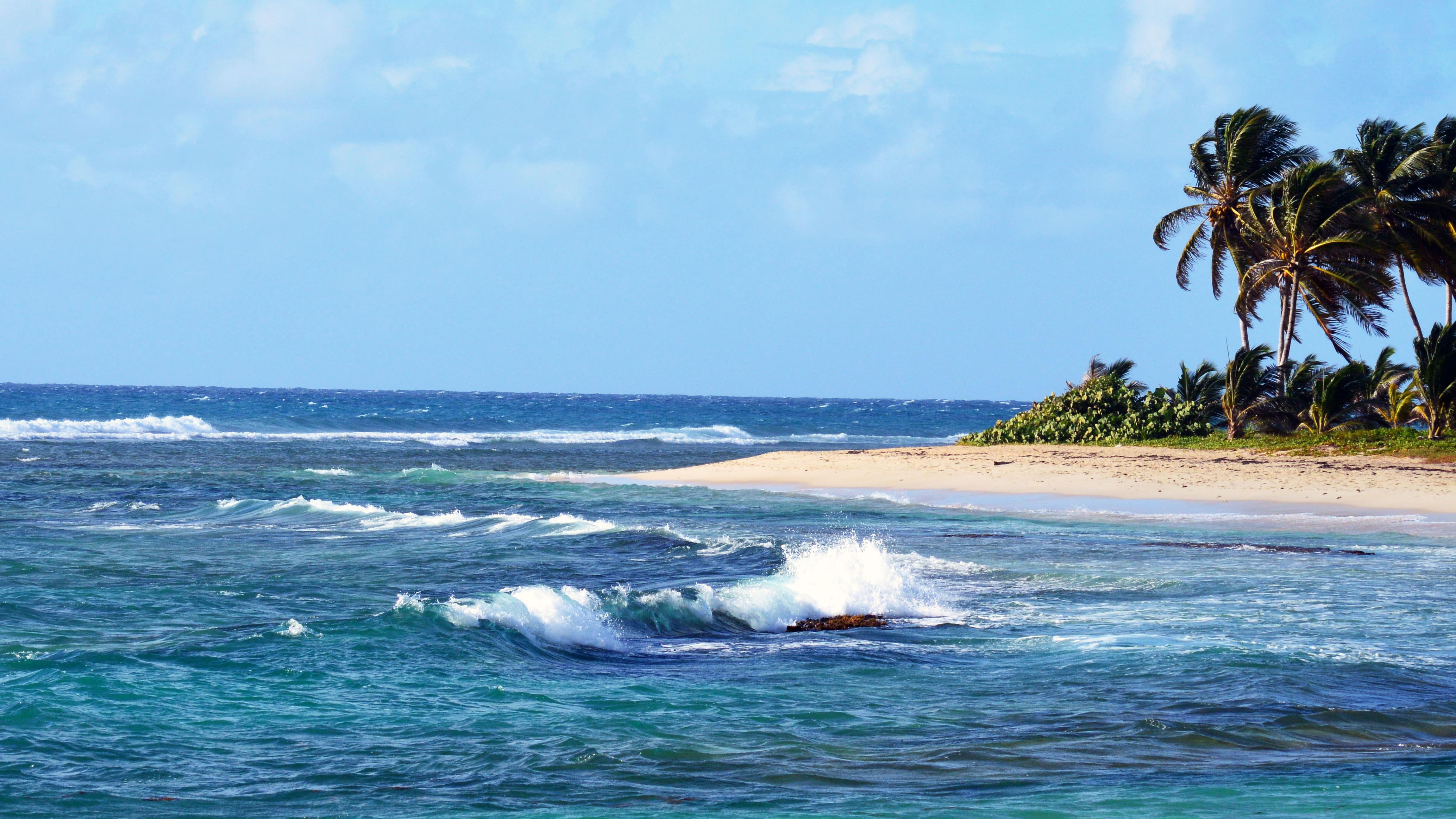 Des vacances de rêve en Guadeloupe