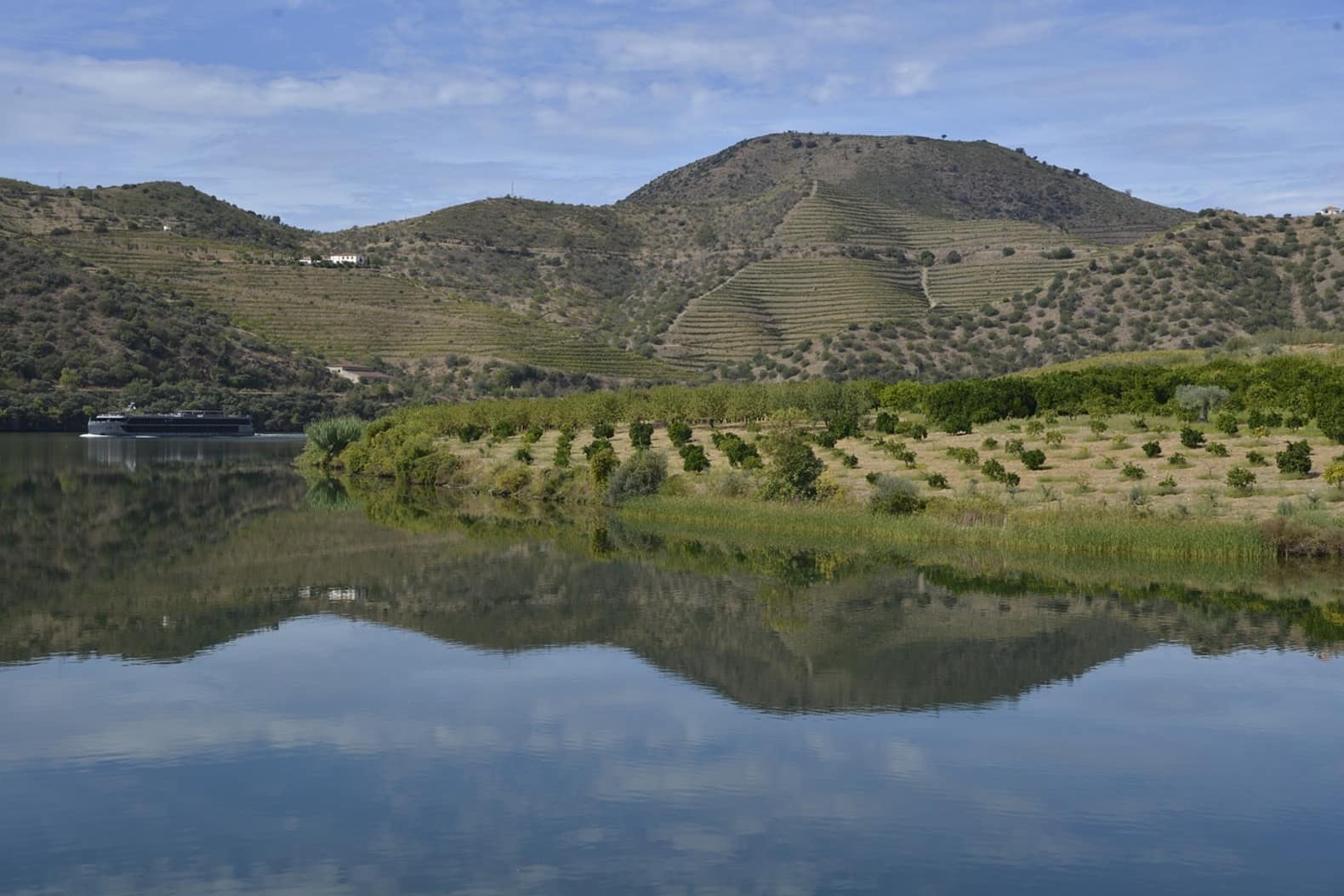 The greenery of the Douro Valley