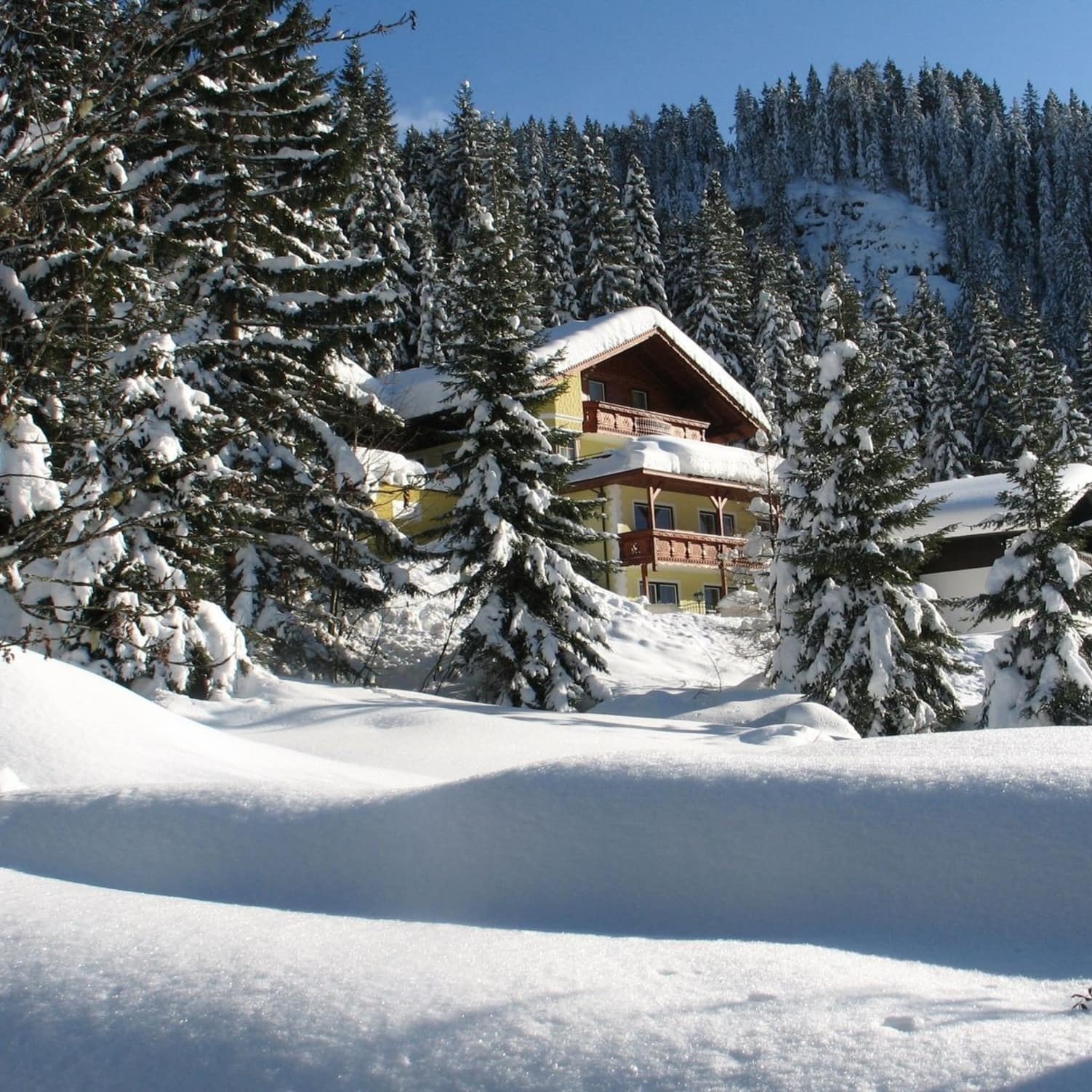 Un chalet en plein milieu d’une forêt enneigée en montagne