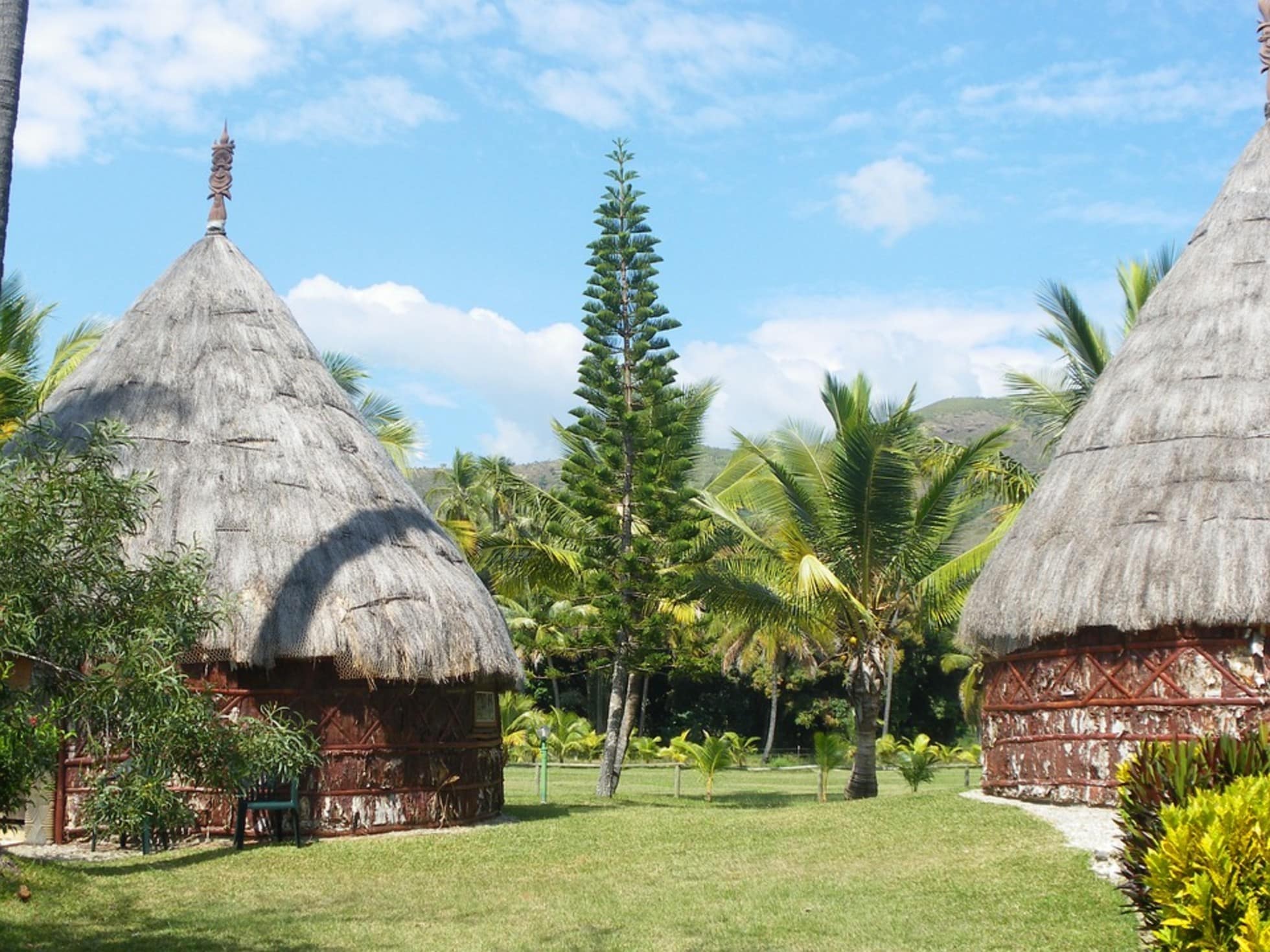 Cases et arbres tropicaux en Nouvelle-Calédonie