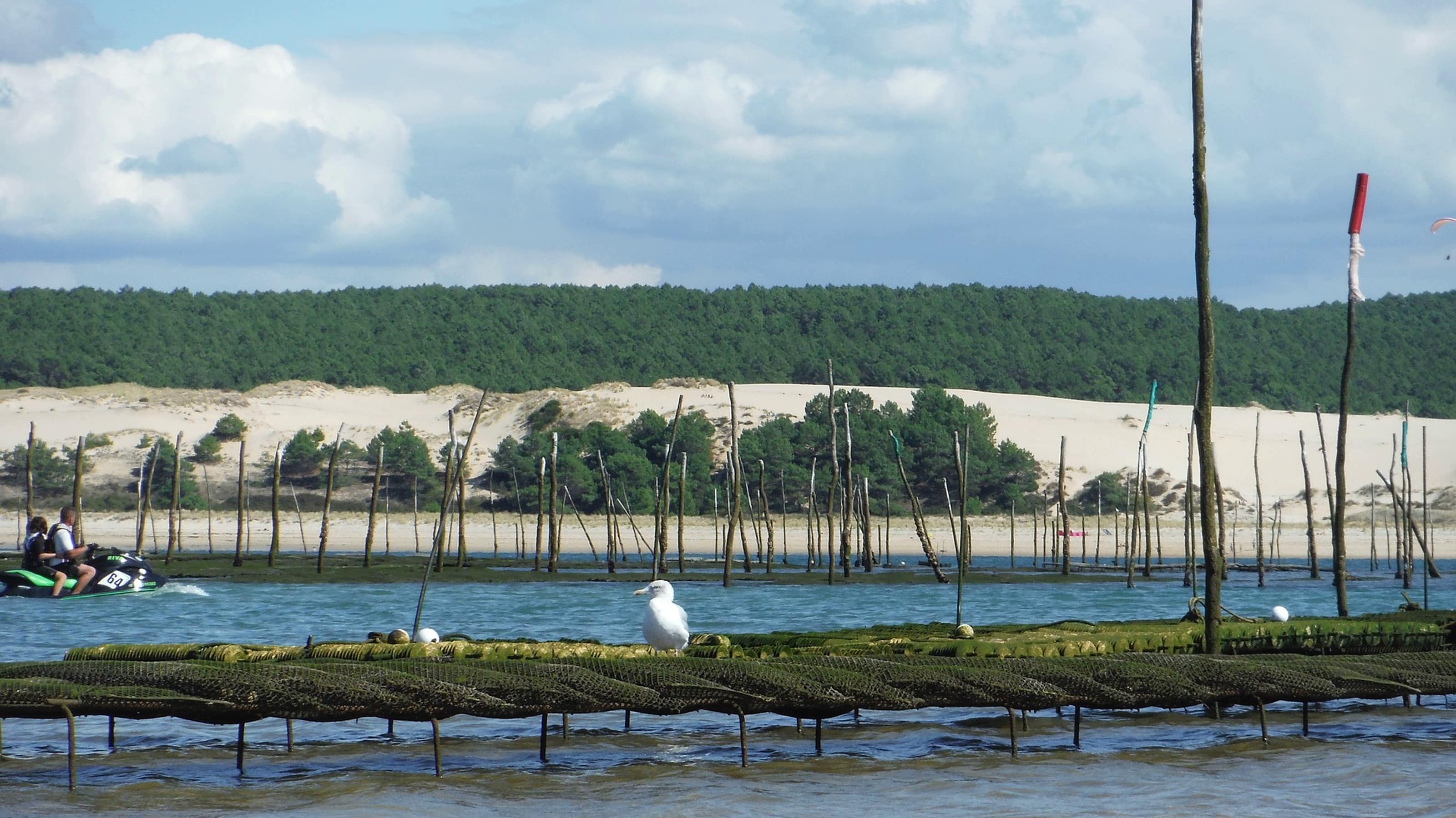Louer un gîte dans le bassin d’Arcachon
