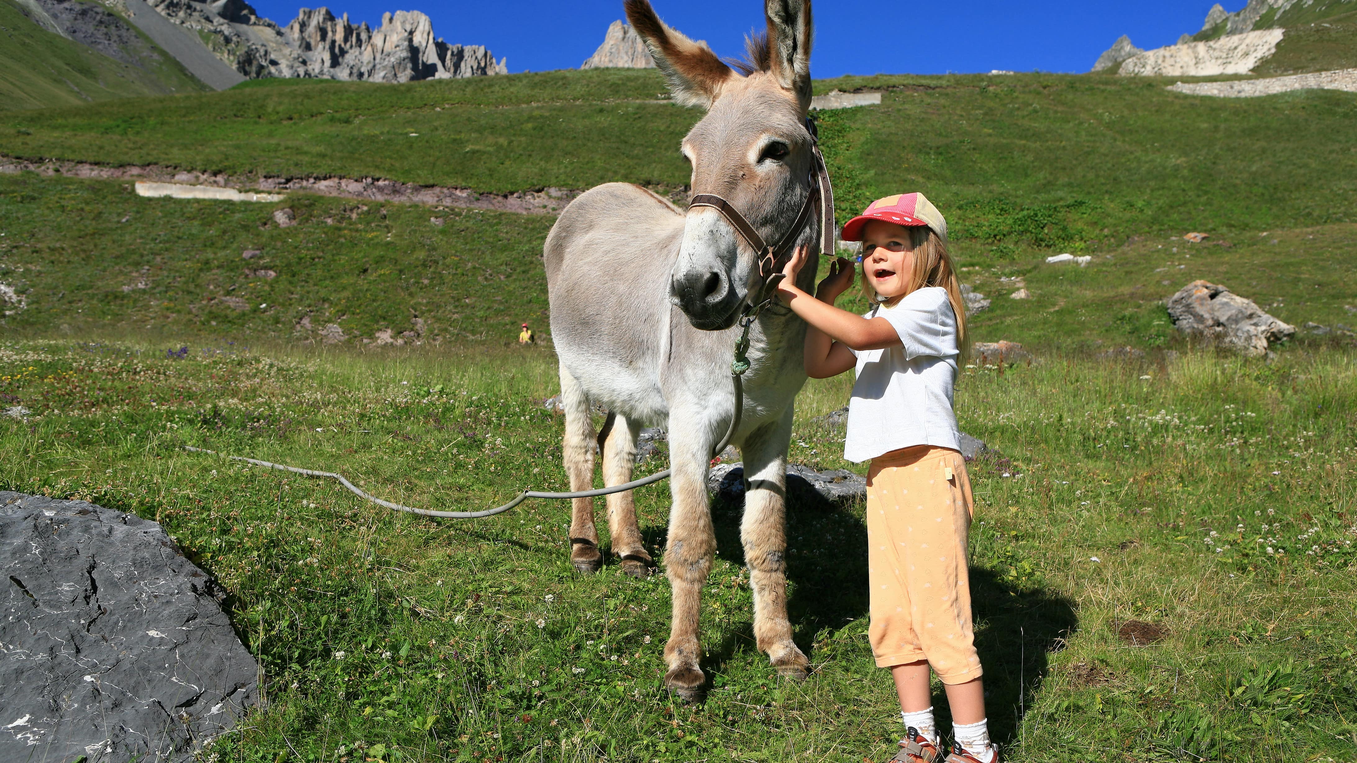 Une enfant en tenue de randonnée caresse un âne en pleine nature