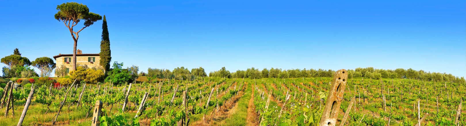 Des vacances à la ferme en Toscane !
