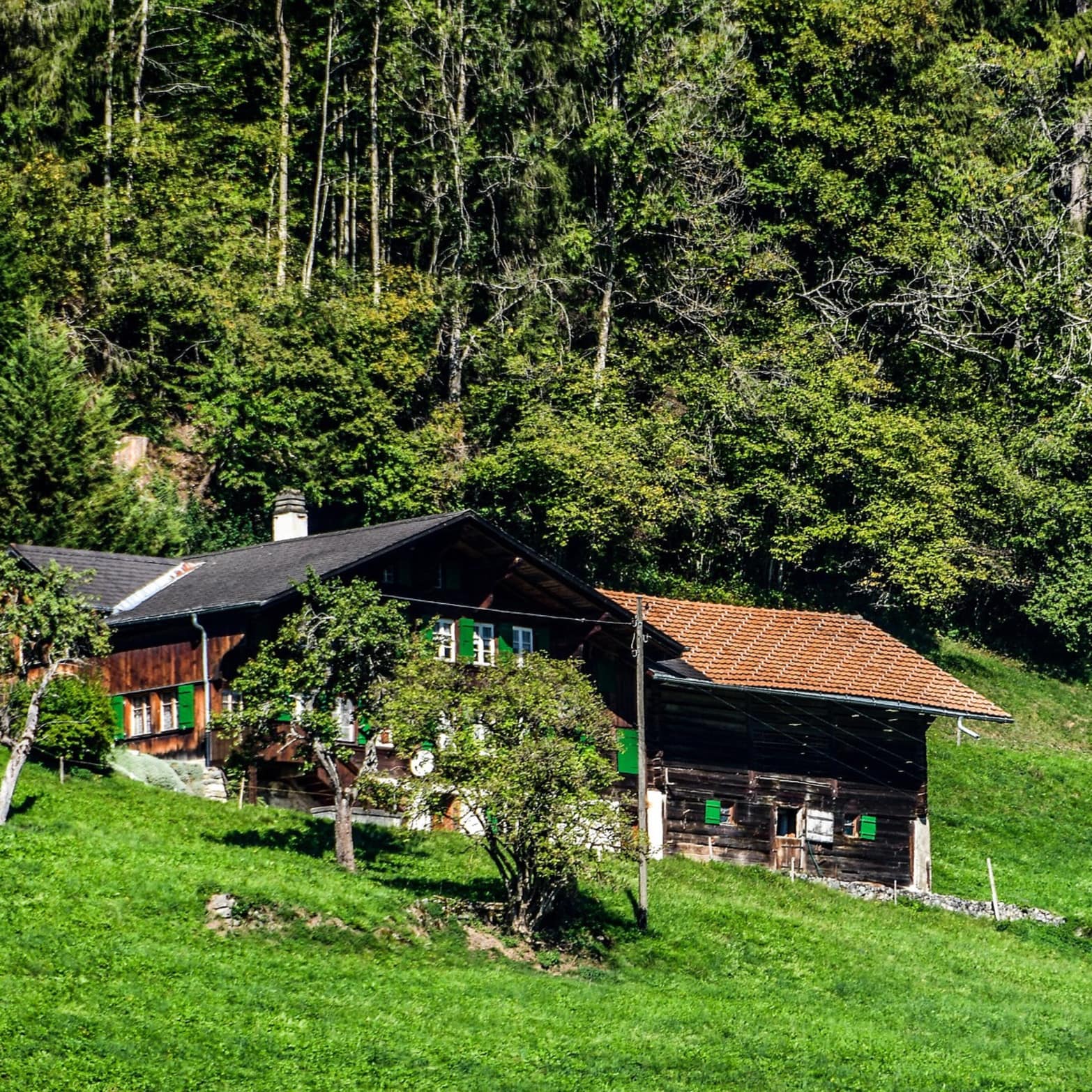 Un gîte à la montagne, l’été ? C’est moins cher