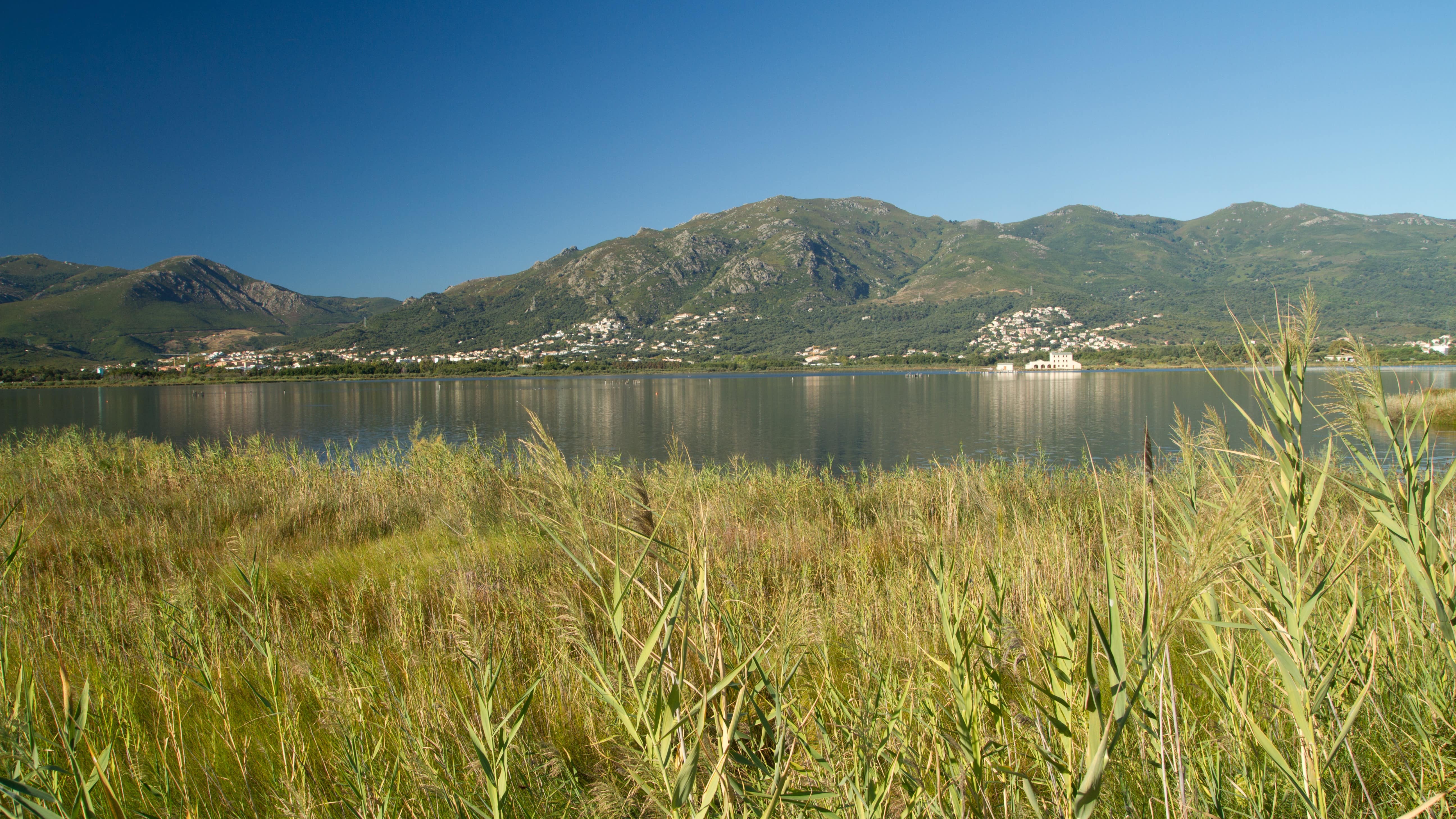 Panorama sur la réserve naturelle et l'étang de Biguglia