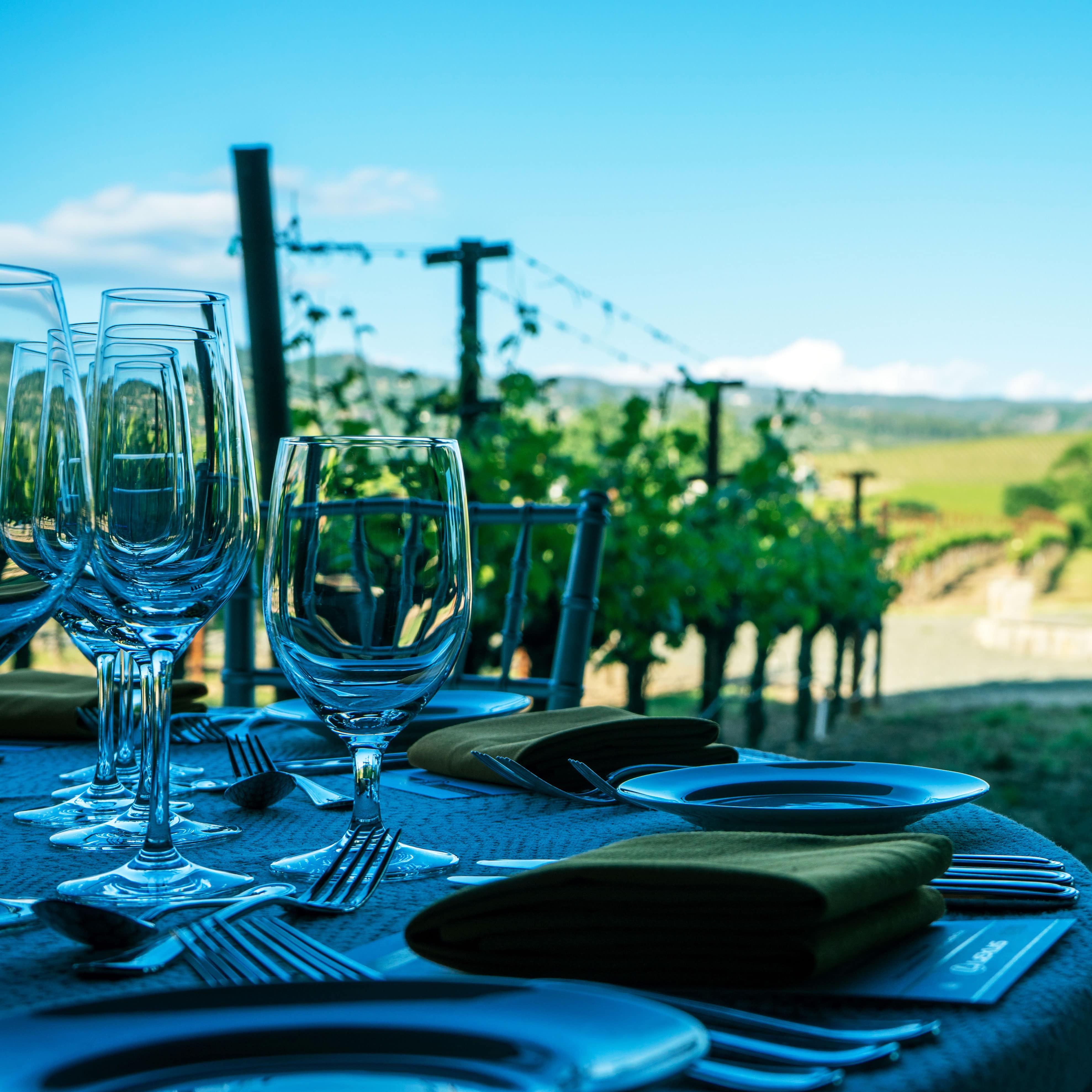 Location de vacances en Alsace : découverte de la route des vins dans une chambre d’hôtes en Alsace