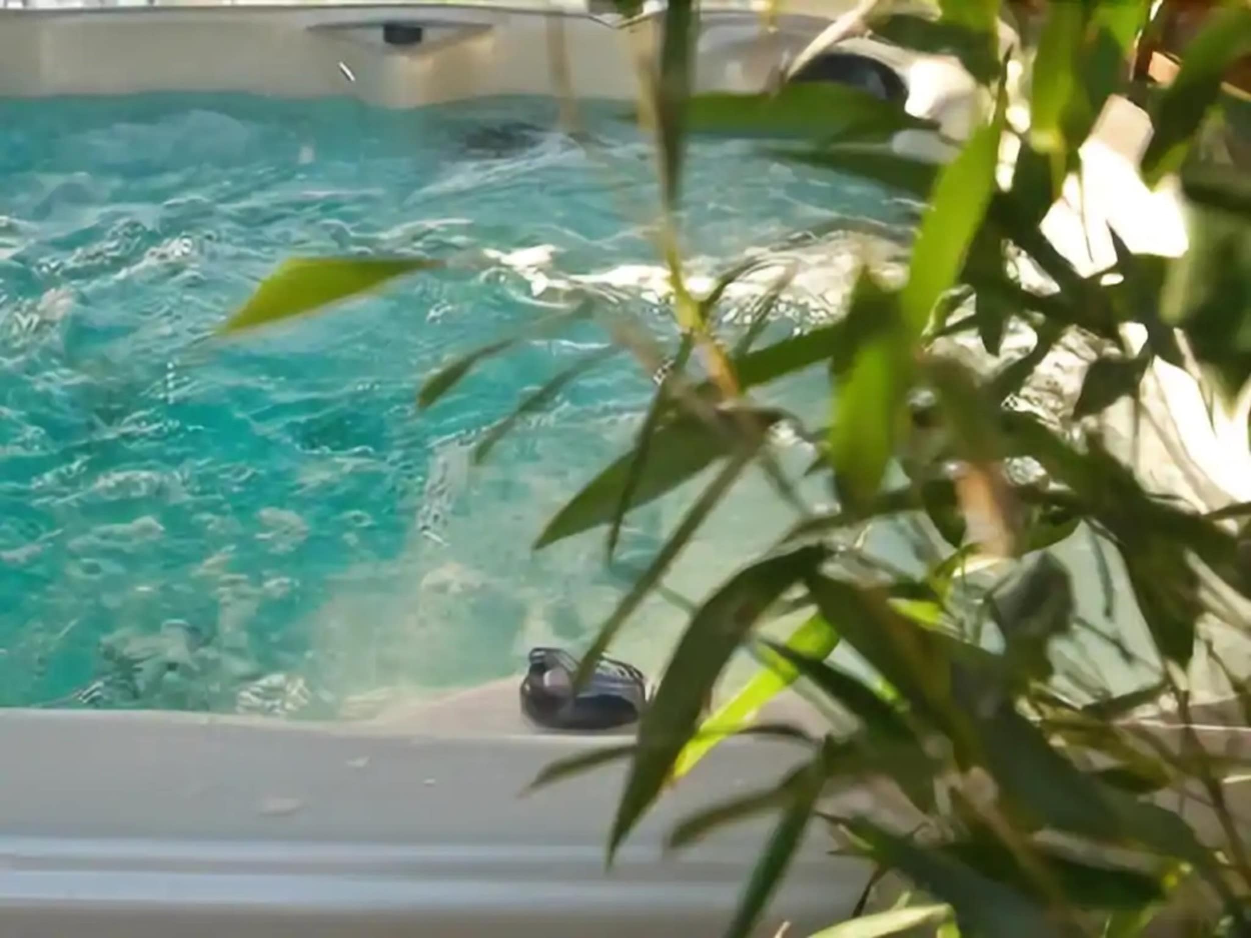 Jacuzzi avec plante verte