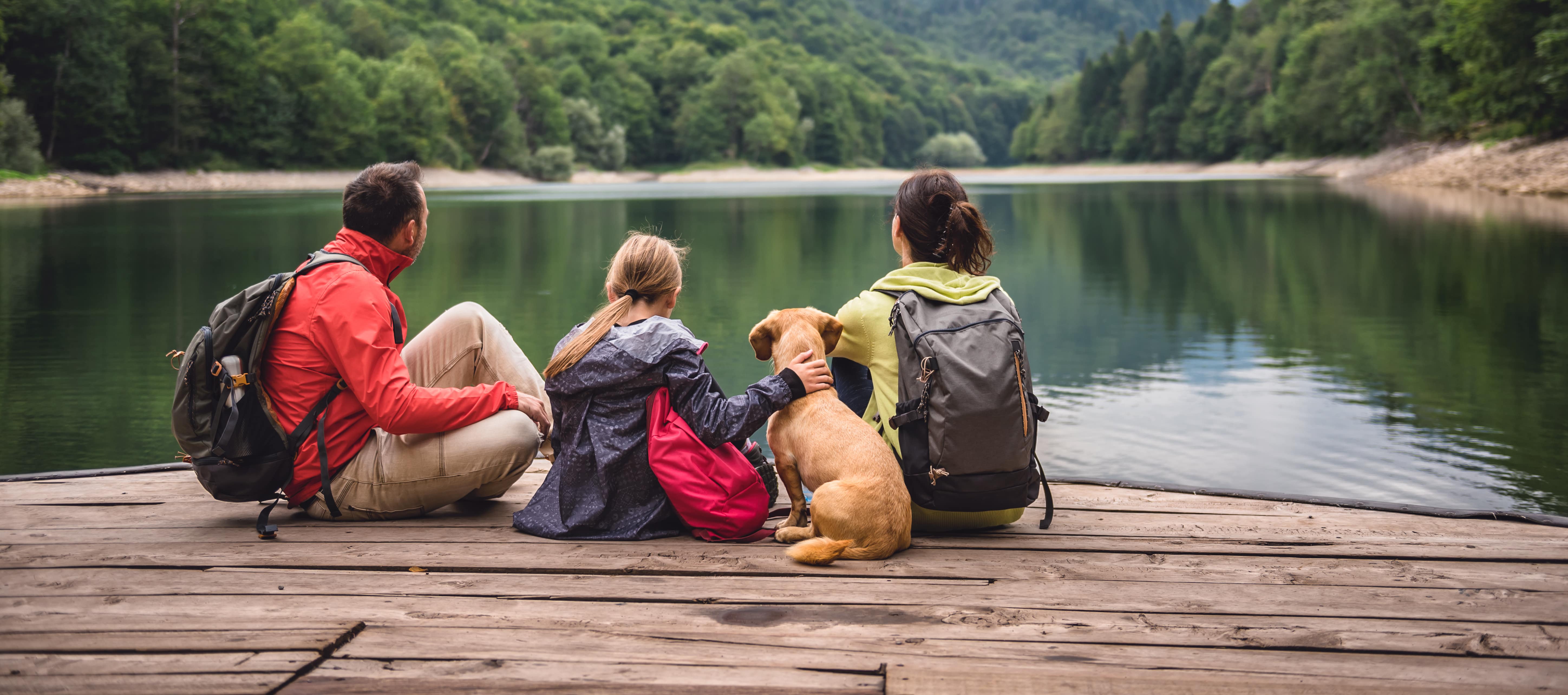 Partir en vacances avec son animal de compagnie