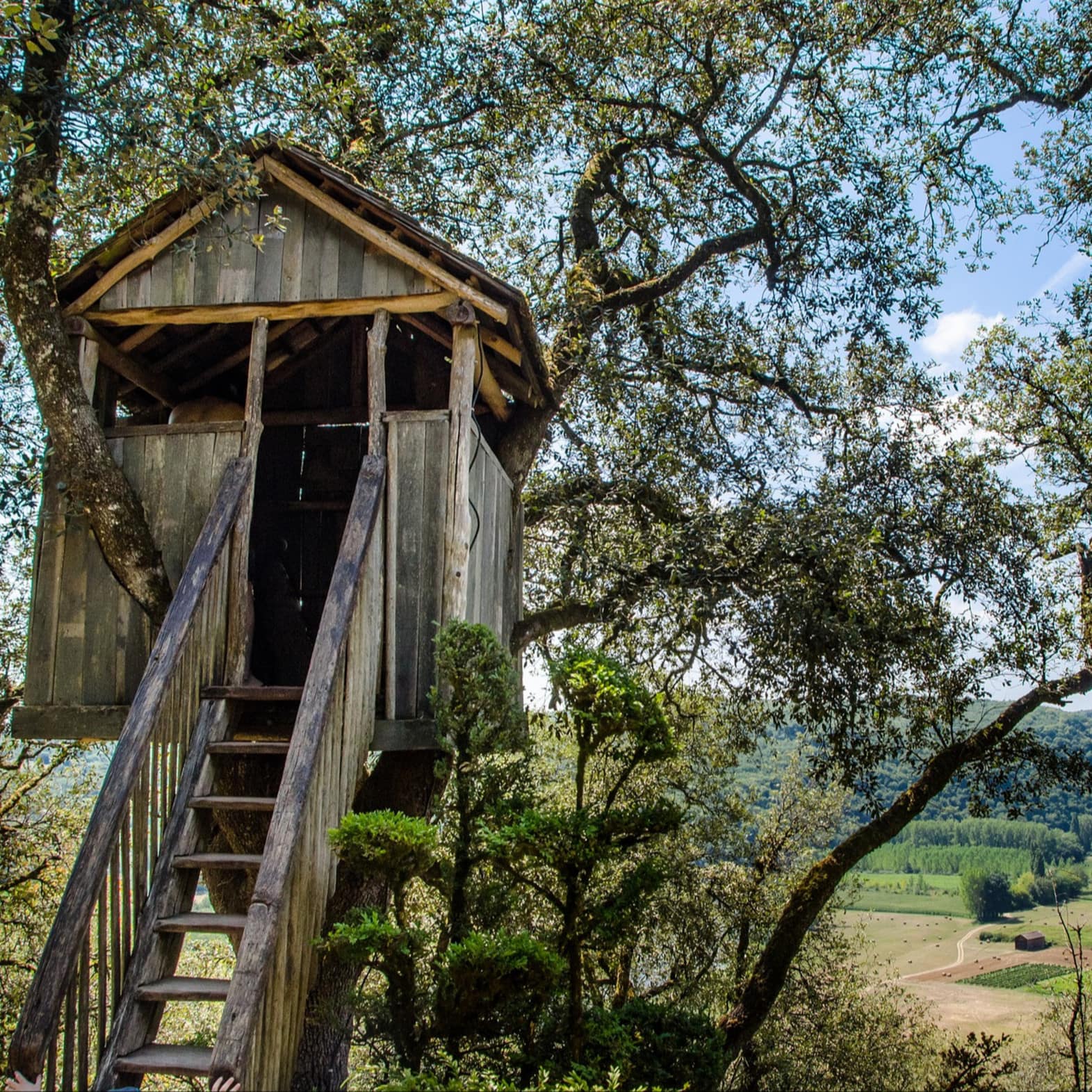 Une cabane dans les arbres dans le Périgord