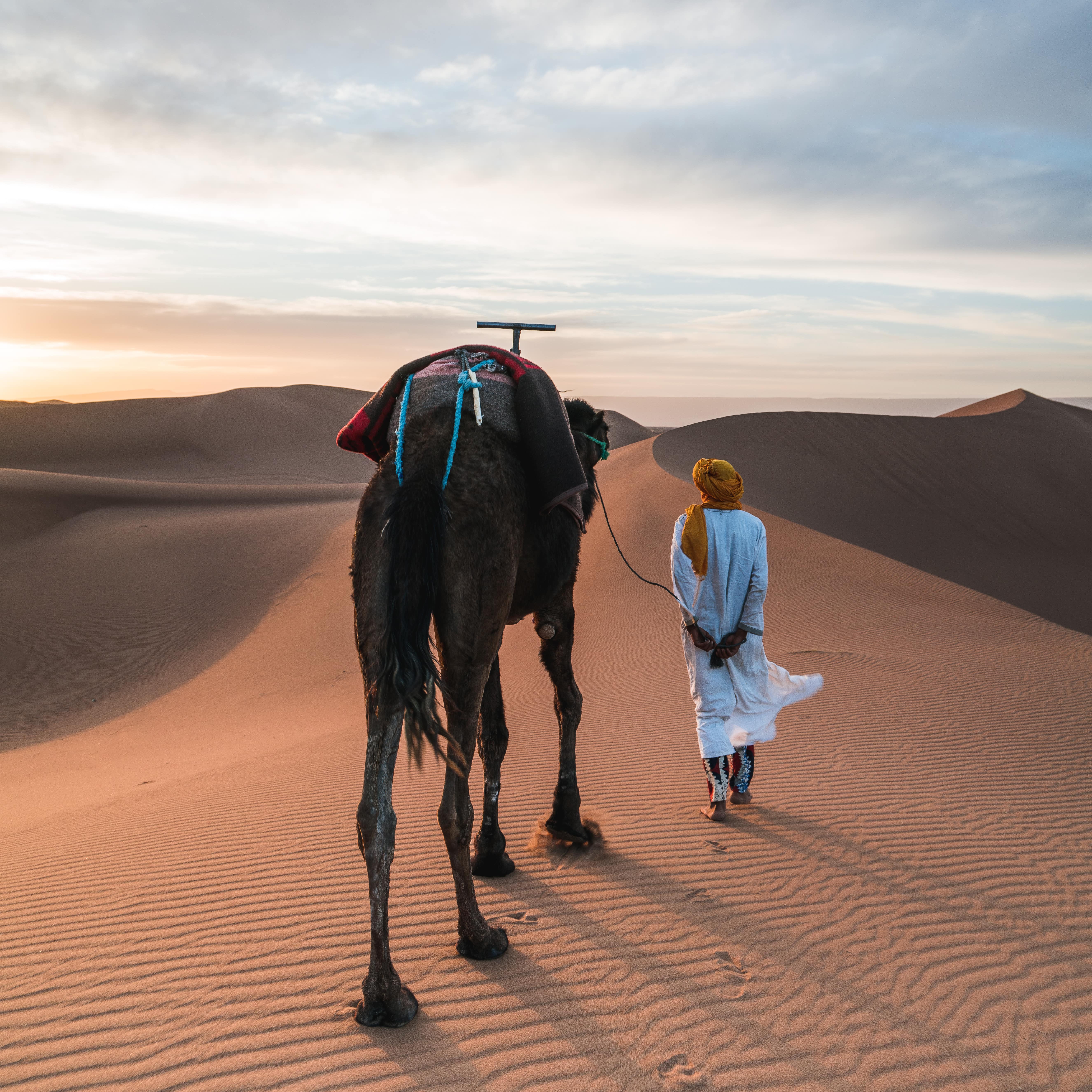 Vastes étendues marocaines