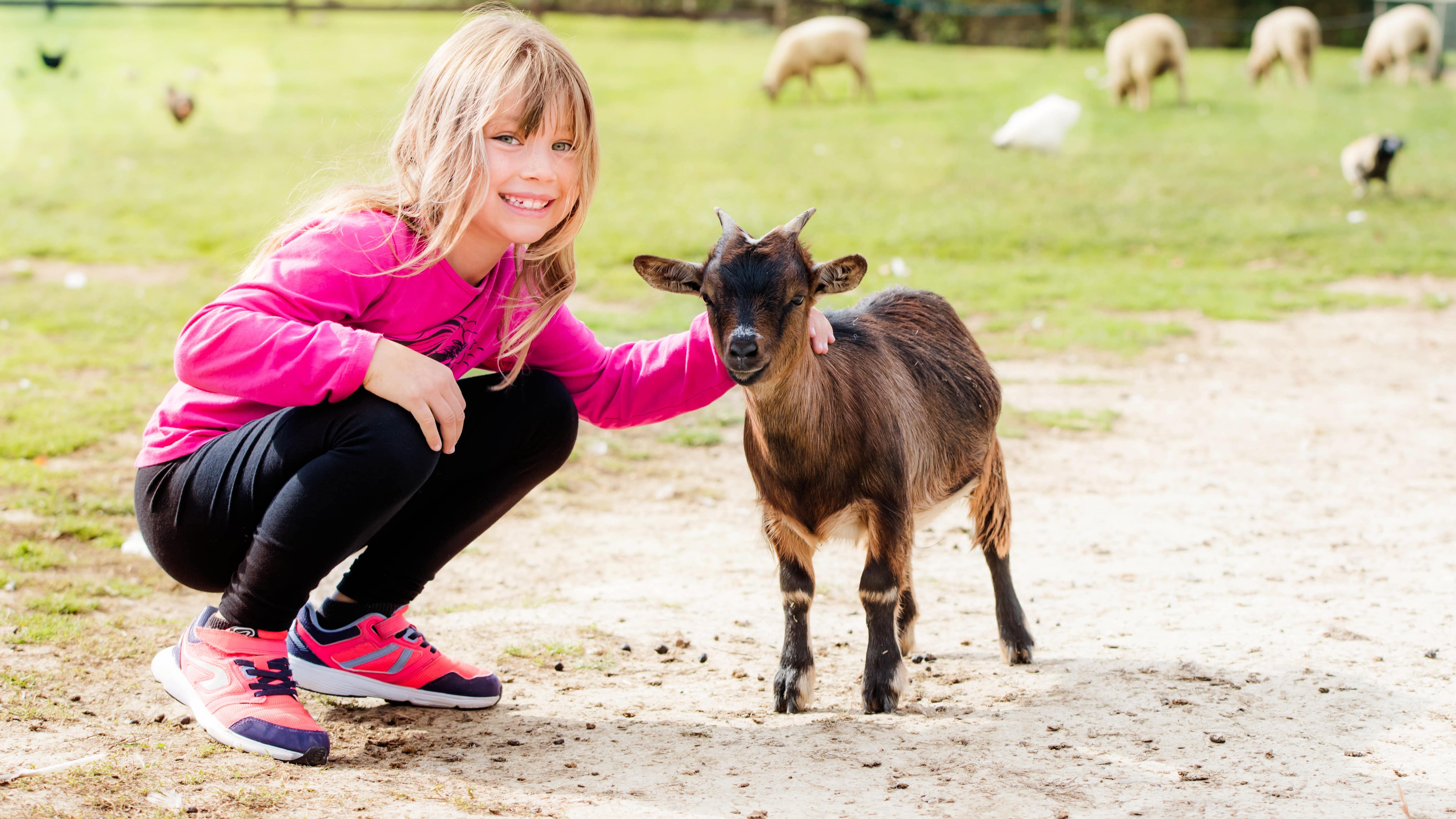 Petite fille avec un chevreau et d’autres animaux de la ferme en arrière-plan
