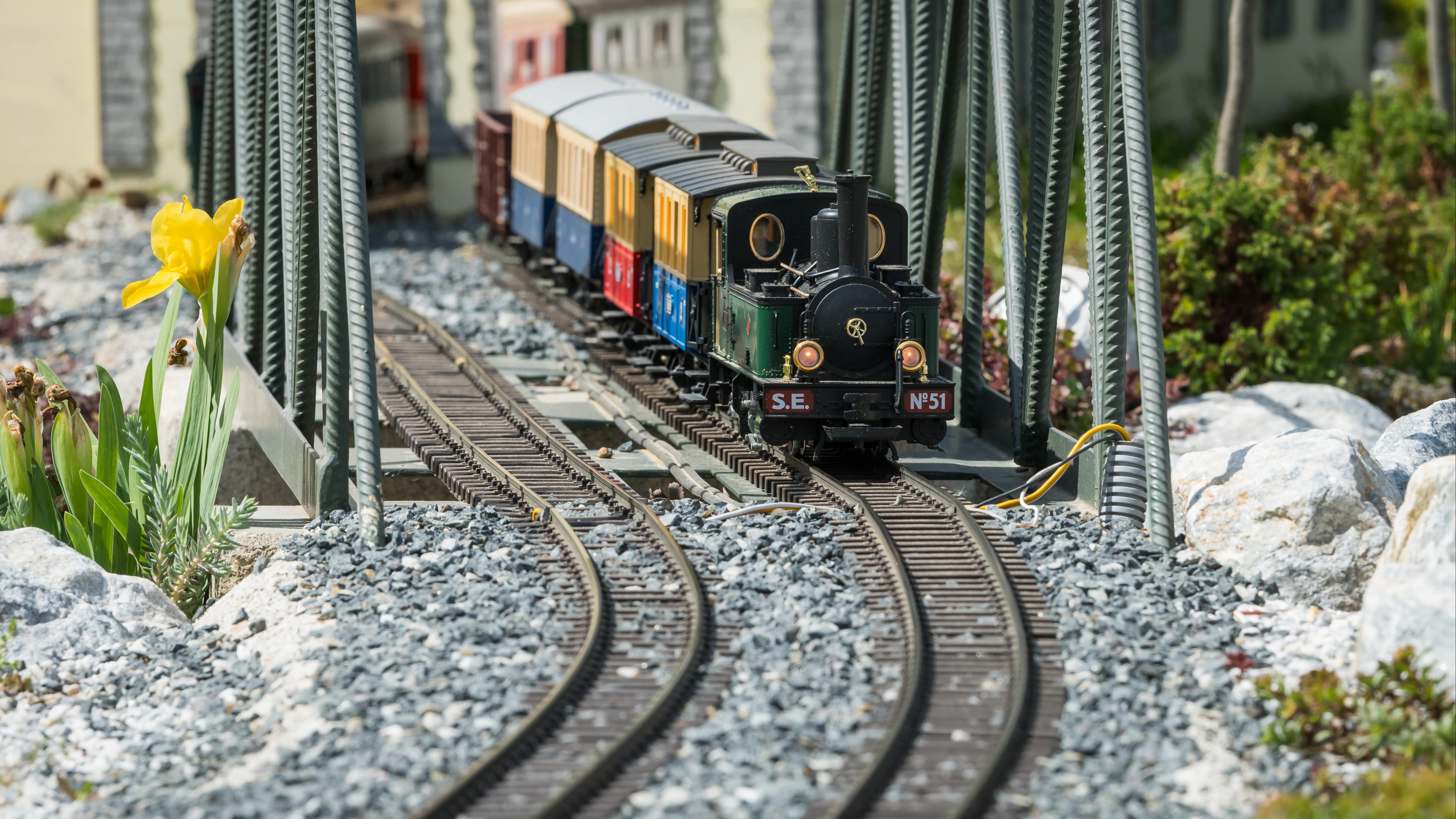 Maquette avec train miniature au milieu d’une végétation naturelle