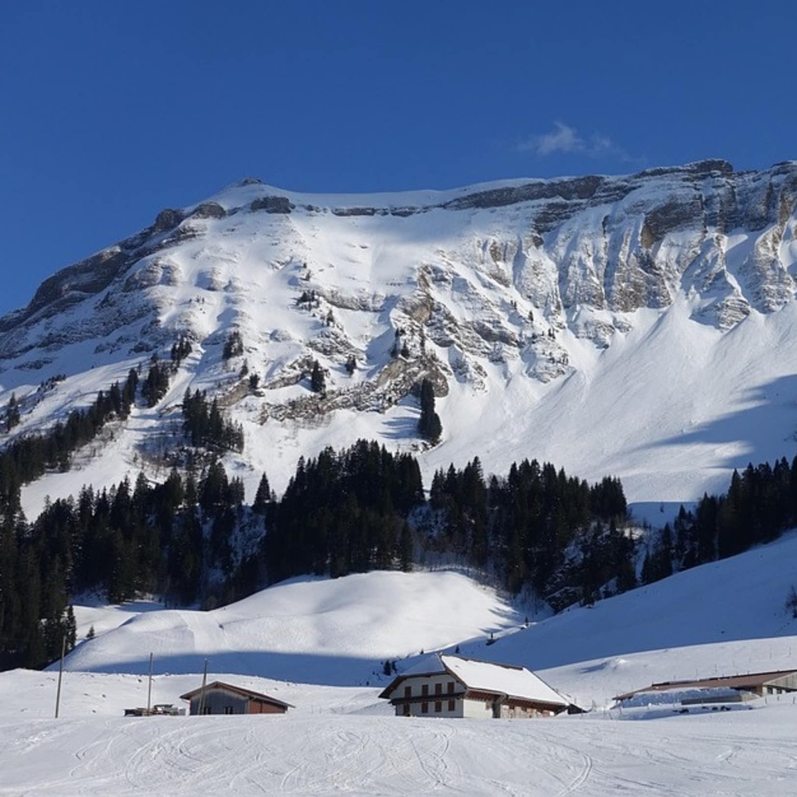 Domaine skiable